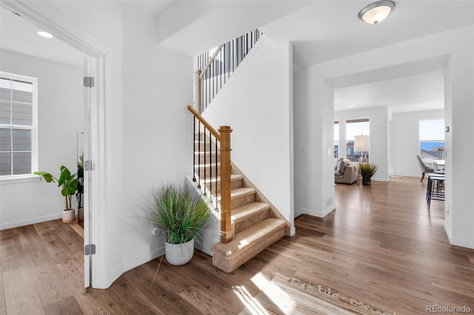 MLS Image #15 for 5415  gansevoort drive,colorado springs, Colorado