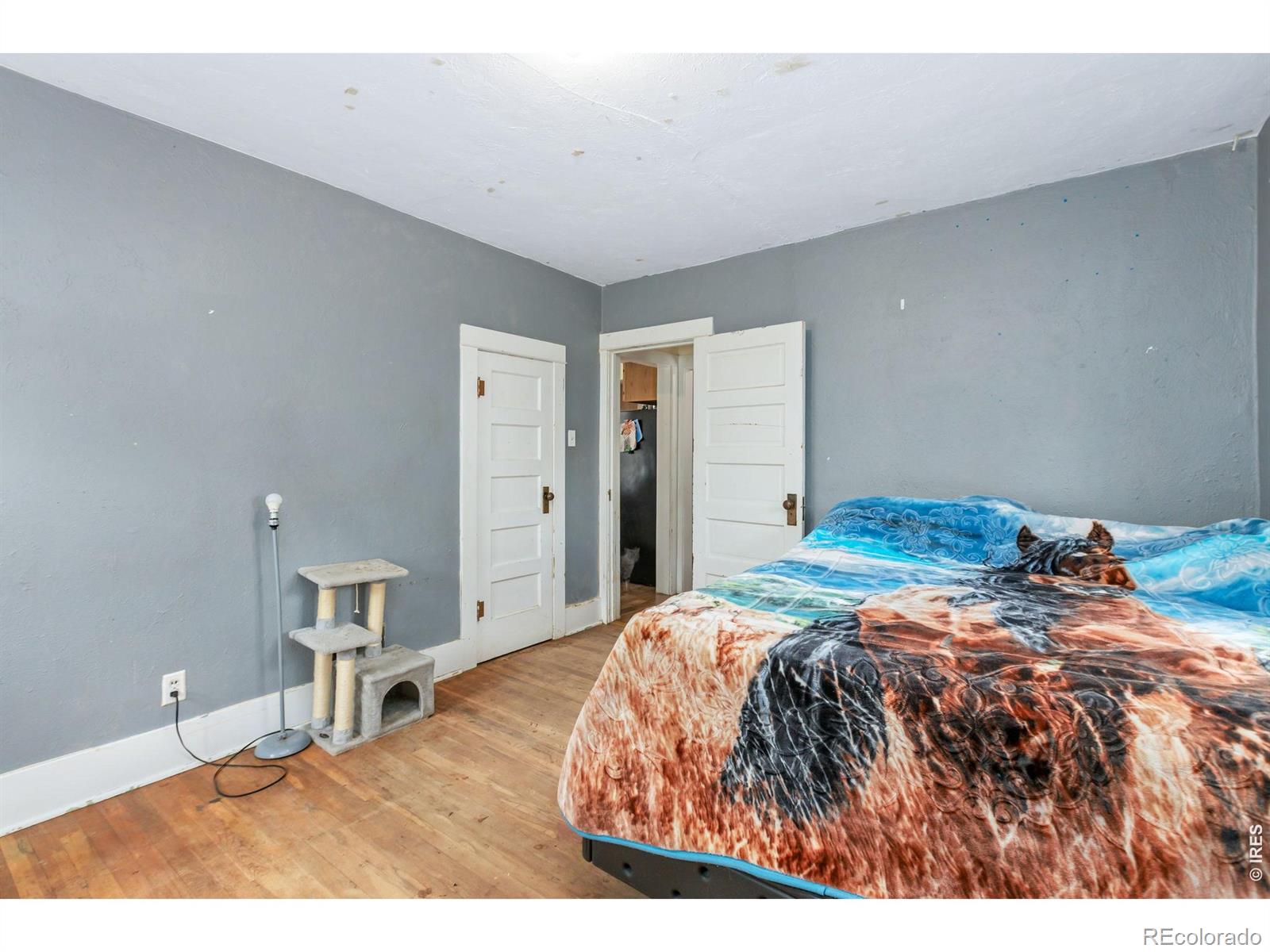 MLS Image #15 for 419  cottonwood avenue,eaton, Colorado