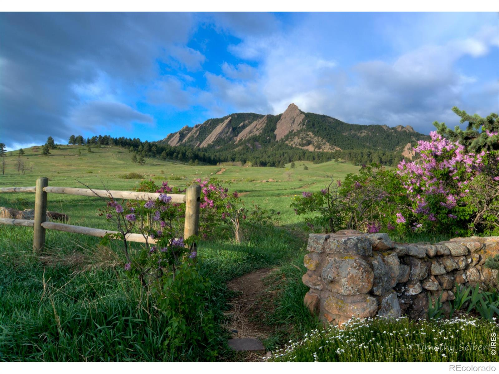 MLS Image #31 for 1625  mariposa avenue,boulder, Colorado