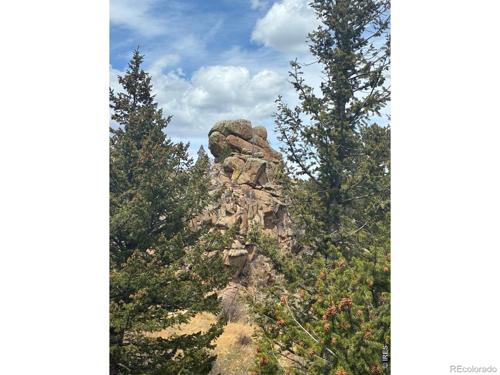 MLS Image #19 for 410  monoma road,red feather lakes, Colorado