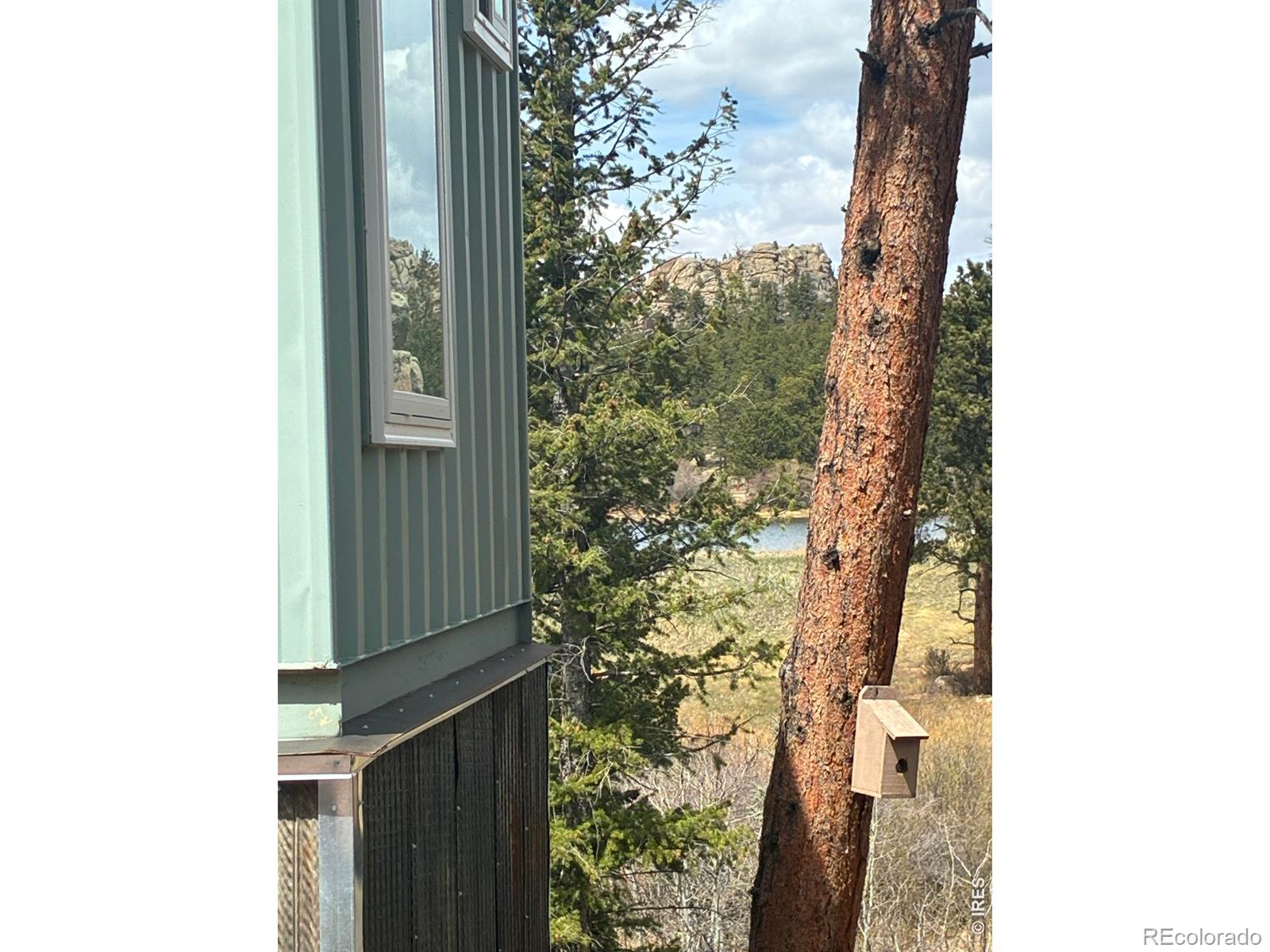 MLS Image #7 for 410  monoma road,red feather lakes, Colorado