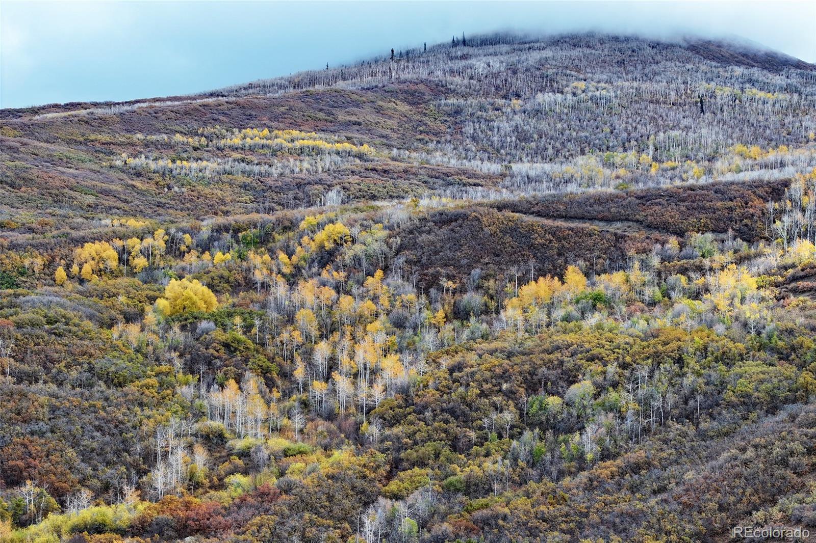 MLS Image #40 for 10822  60 3/4 road,collbran, Colorado