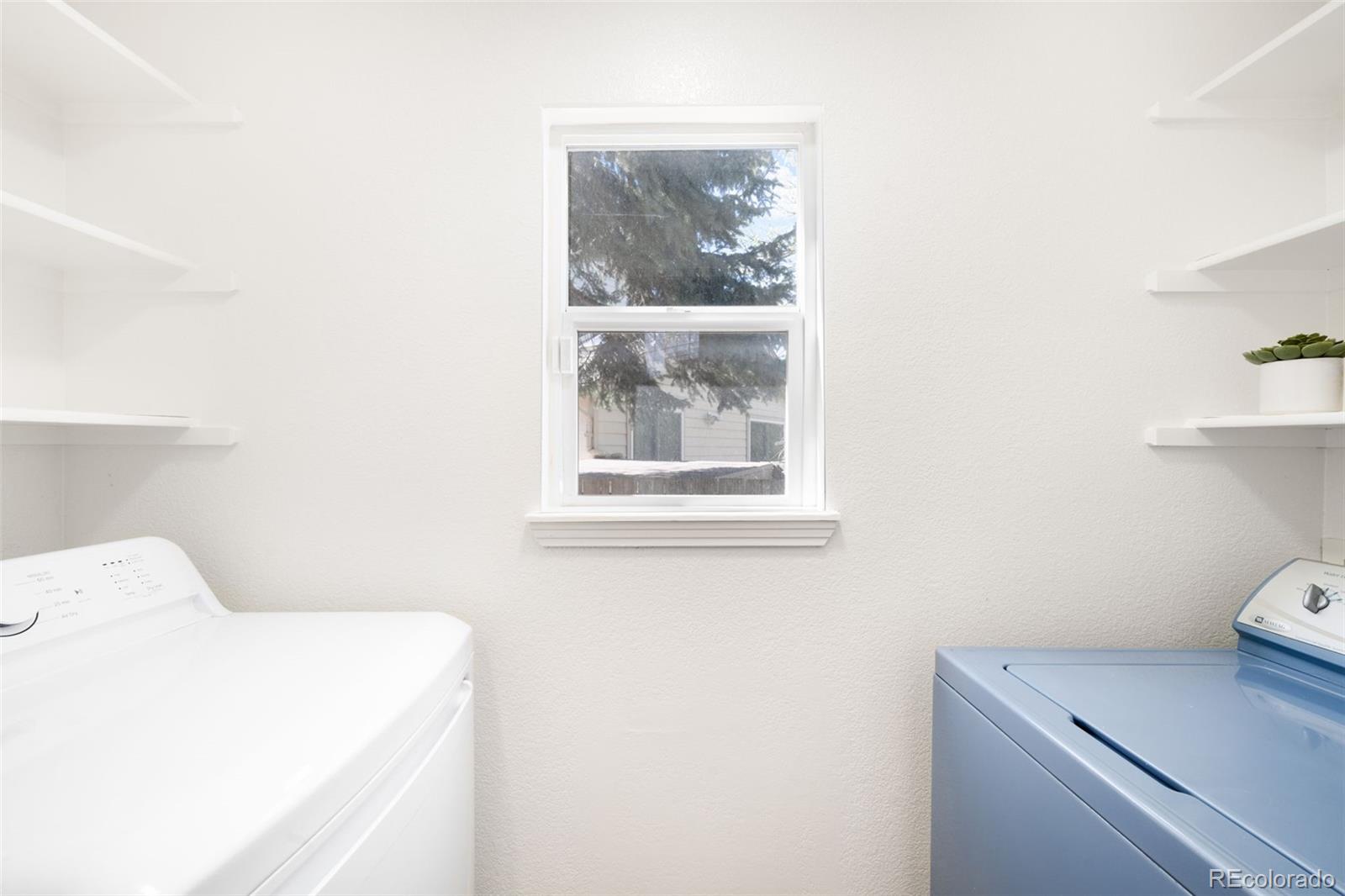 MLS Image #11 for 8305  moore street,arvada, Colorado