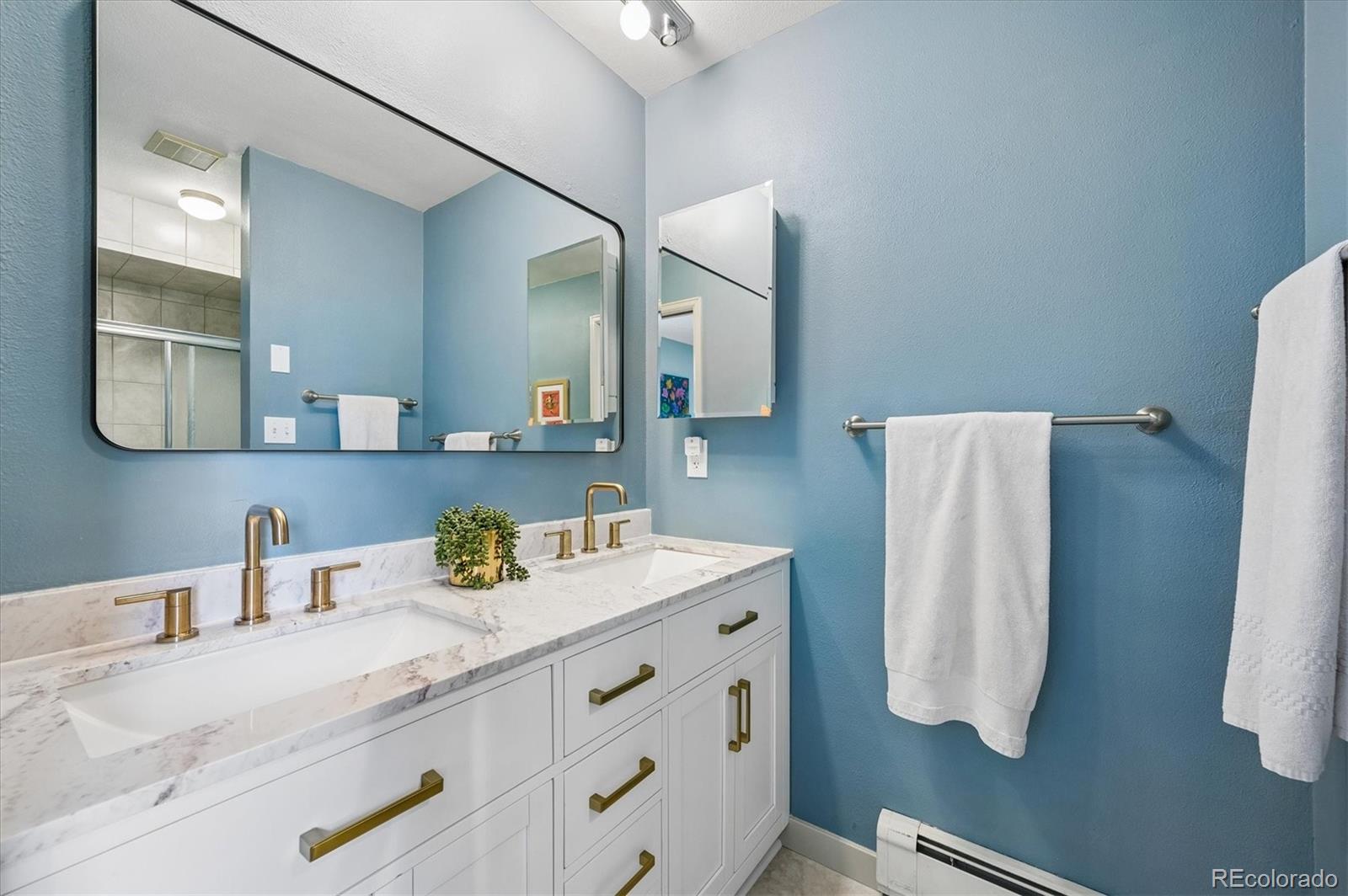MLS Image #14 for 4654 s union street,morrison, Colorado