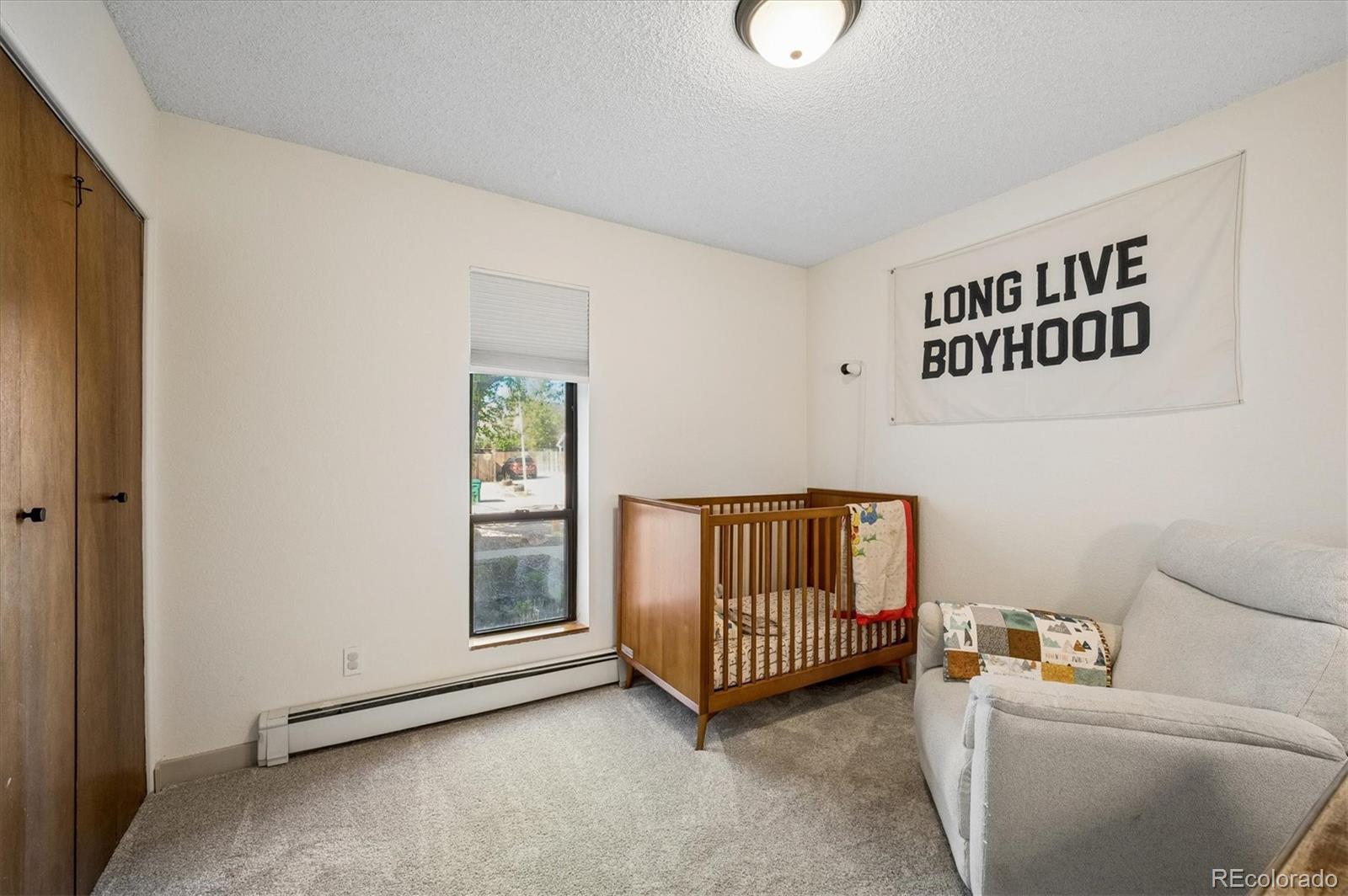 MLS Image #18 for 4654 s union street,morrison, Colorado