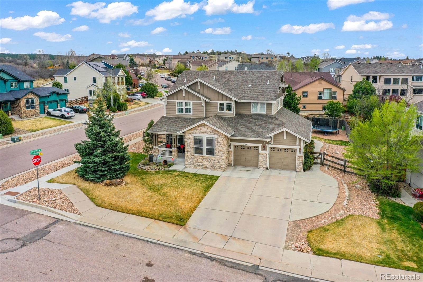 MLS Image #39 for 13867  antelope pass place,colorado springs, Colorado