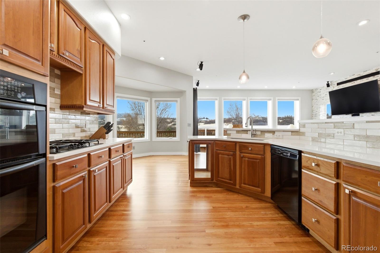 MLS Image #1 for 1168  wintergate circle,castle rock, Colorado
