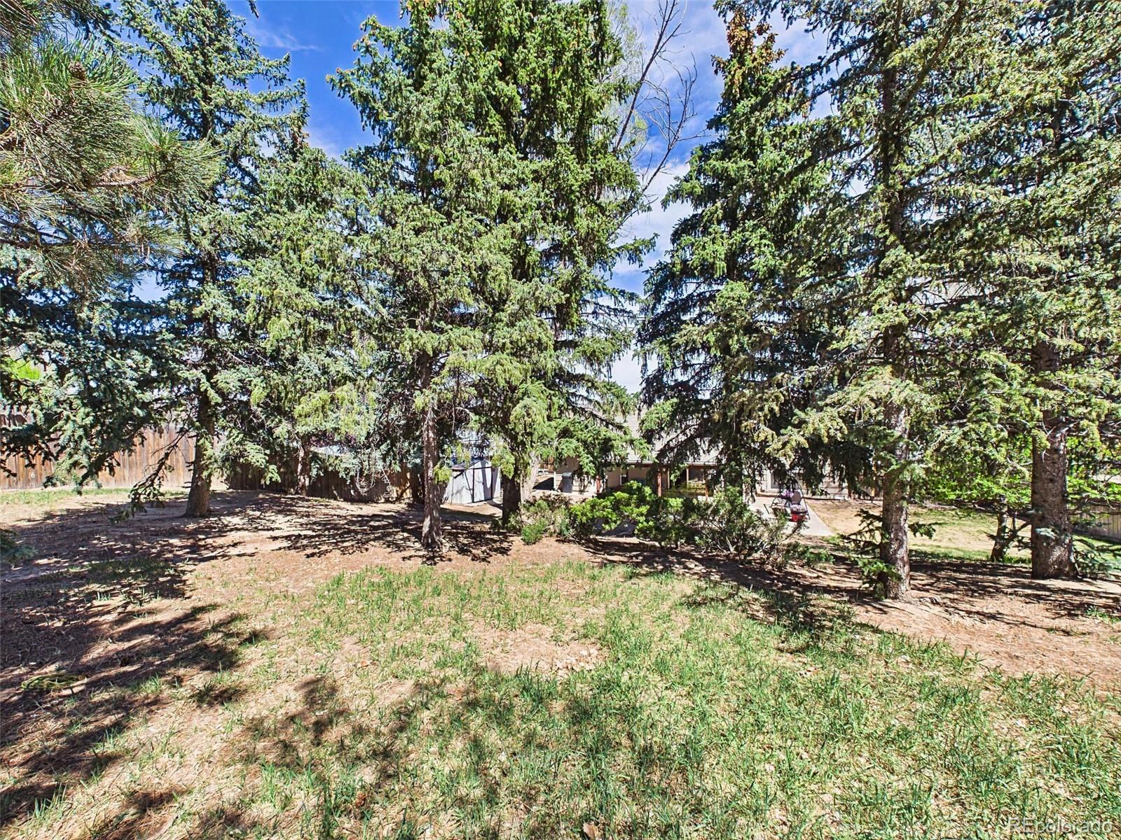 MLS Image #45 for 4311 s delighted circle,colorado springs, Colorado