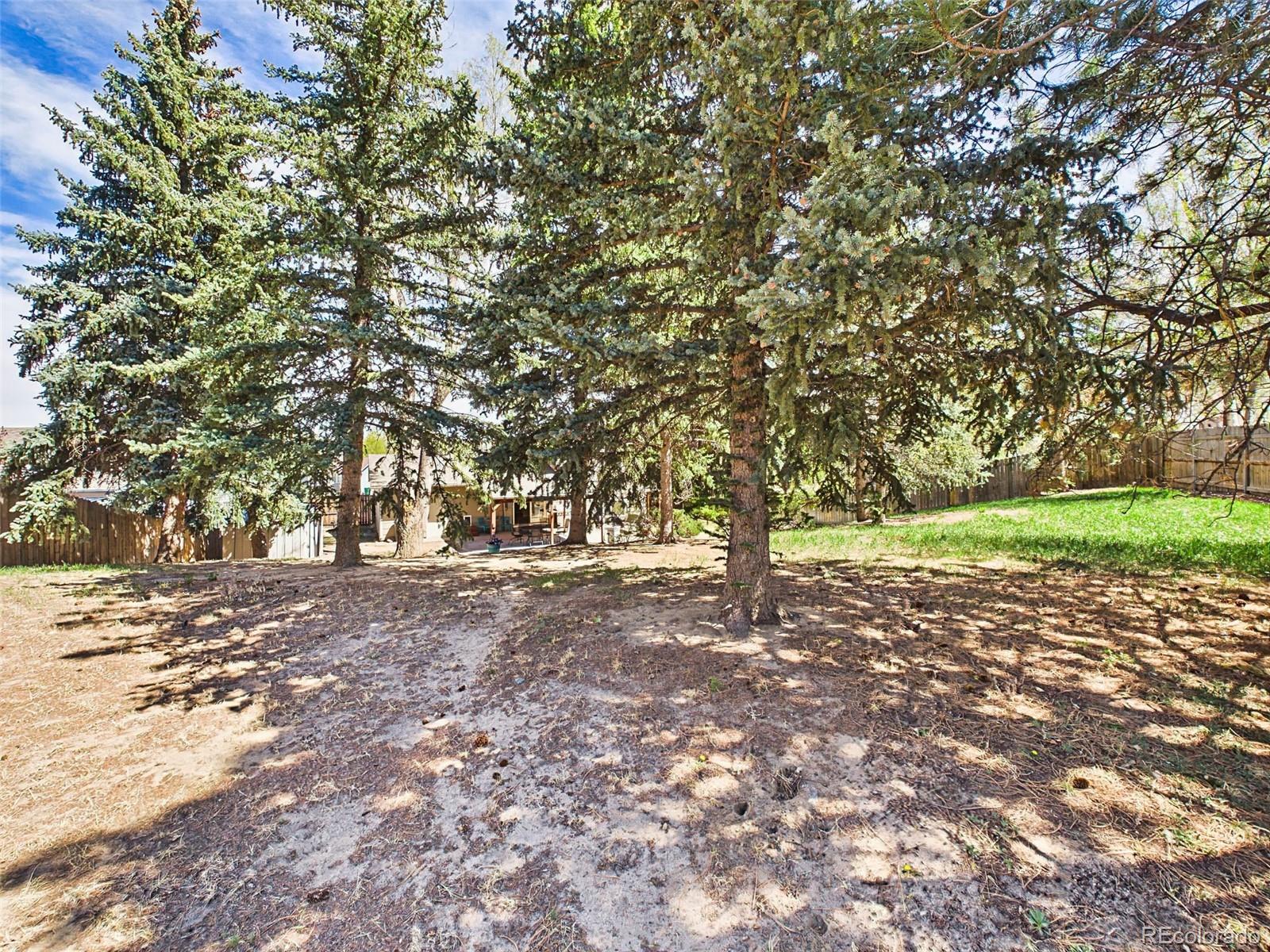 MLS Image #46 for 4311 s delighted circle,colorado springs, Colorado