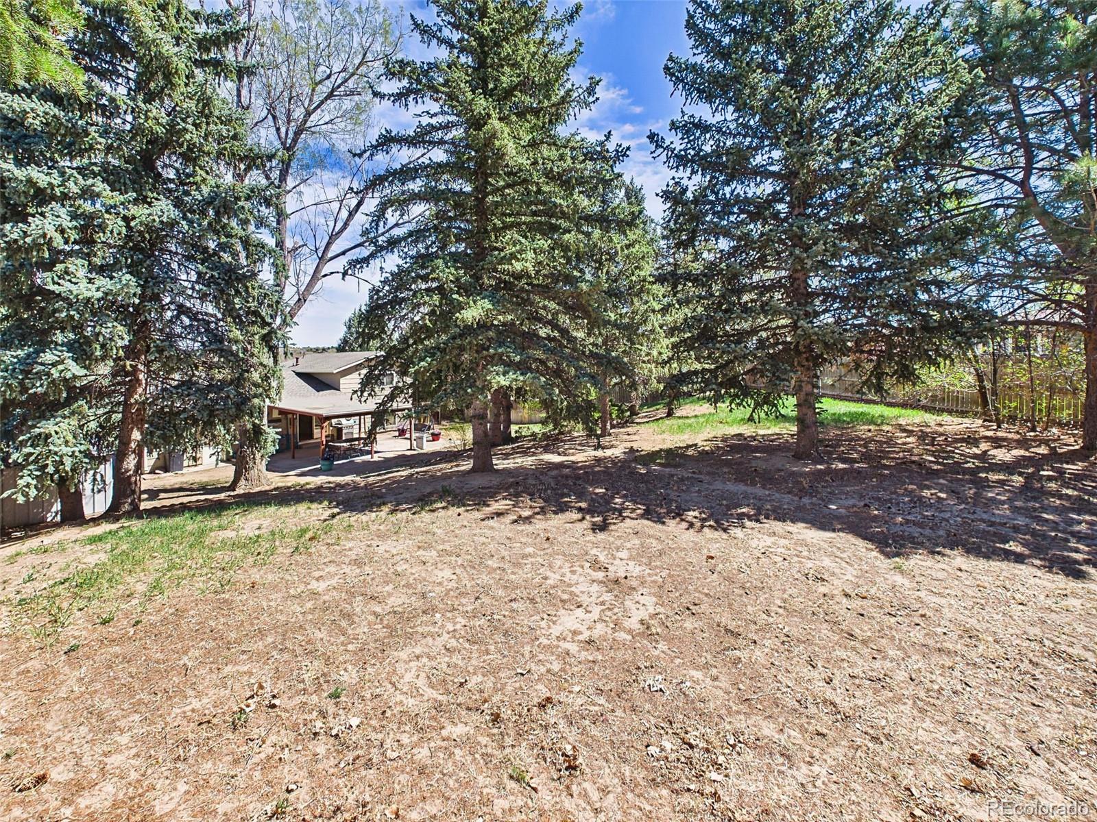 MLS Image #47 for 4311 s delighted circle,colorado springs, Colorado