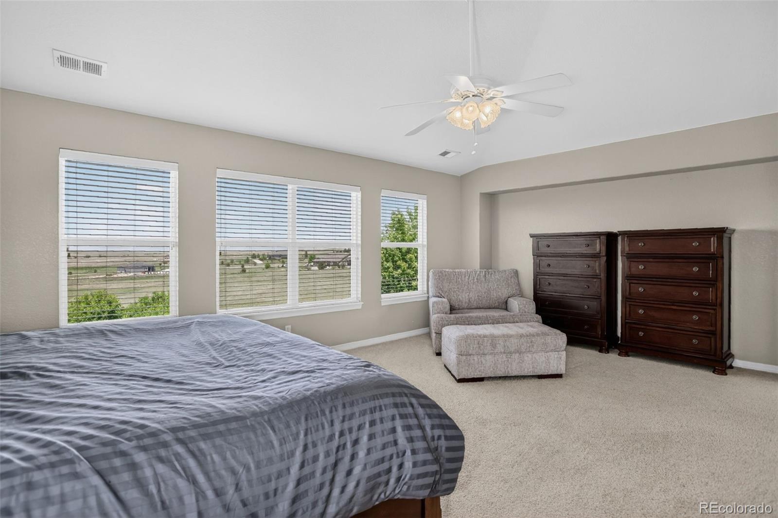 MLS Image #22 for 3319  paintbrush lane,parker, Colorado