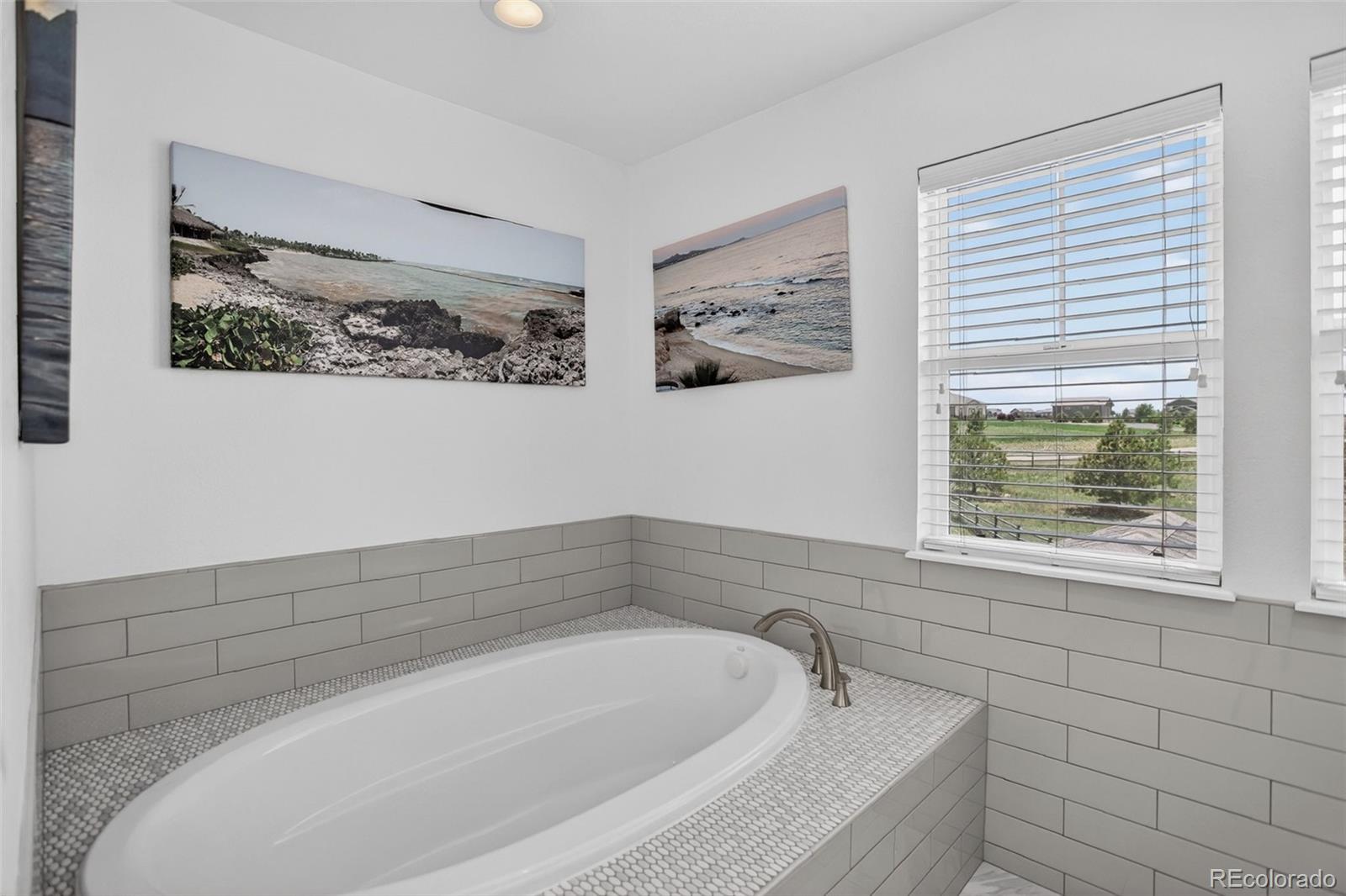 MLS Image #25 for 3319  paintbrush lane,parker, Colorado