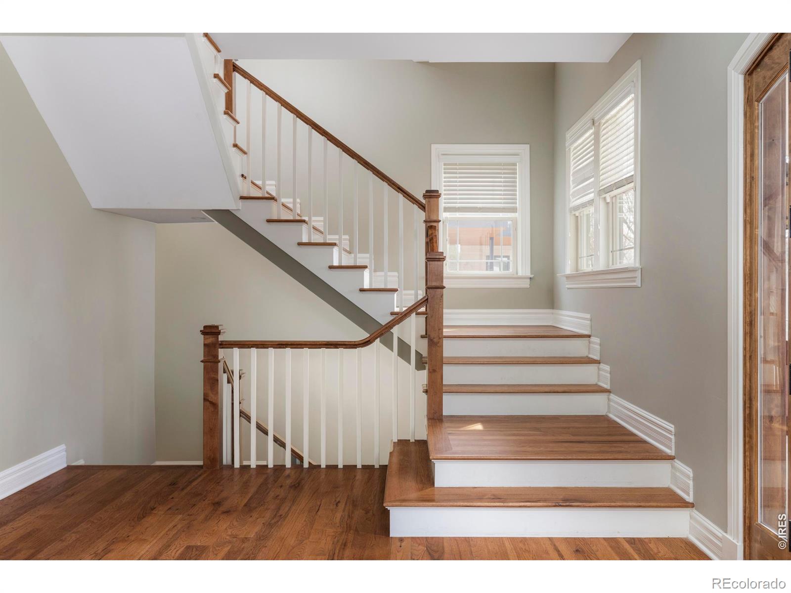 MLS Image #8 for 1020  confidence drive,longmont, Colorado