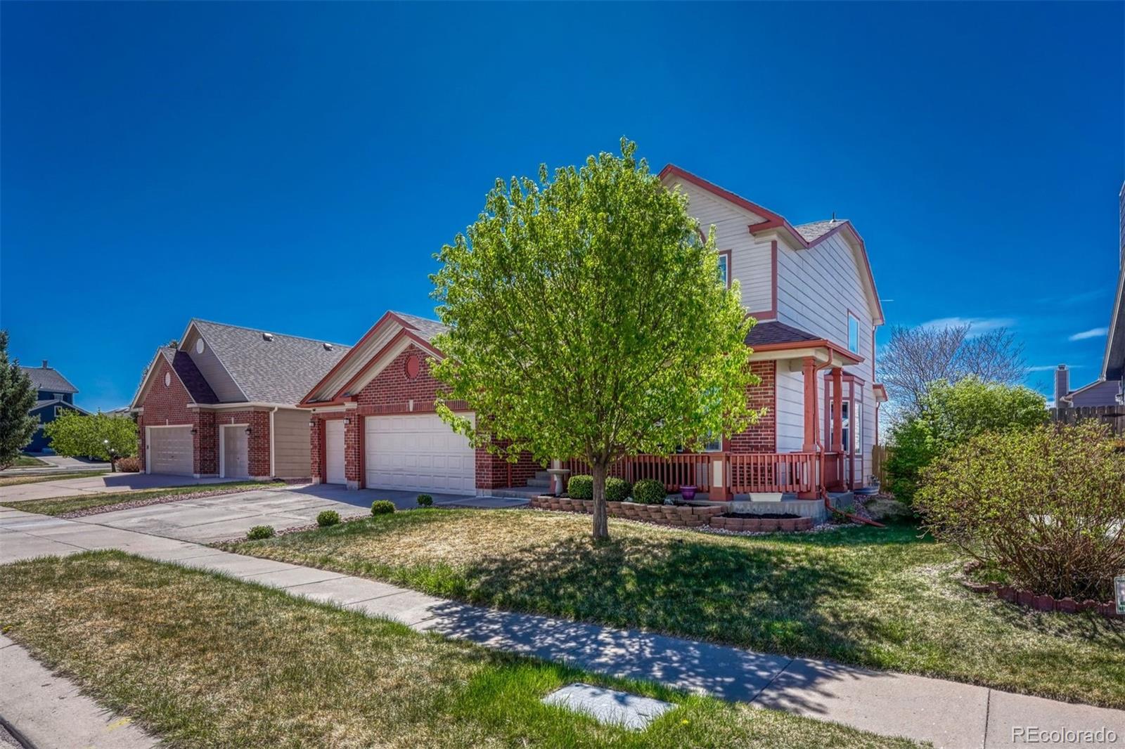MLS Image #2 for 9358  prairie clover drive,colorado springs, Colorado