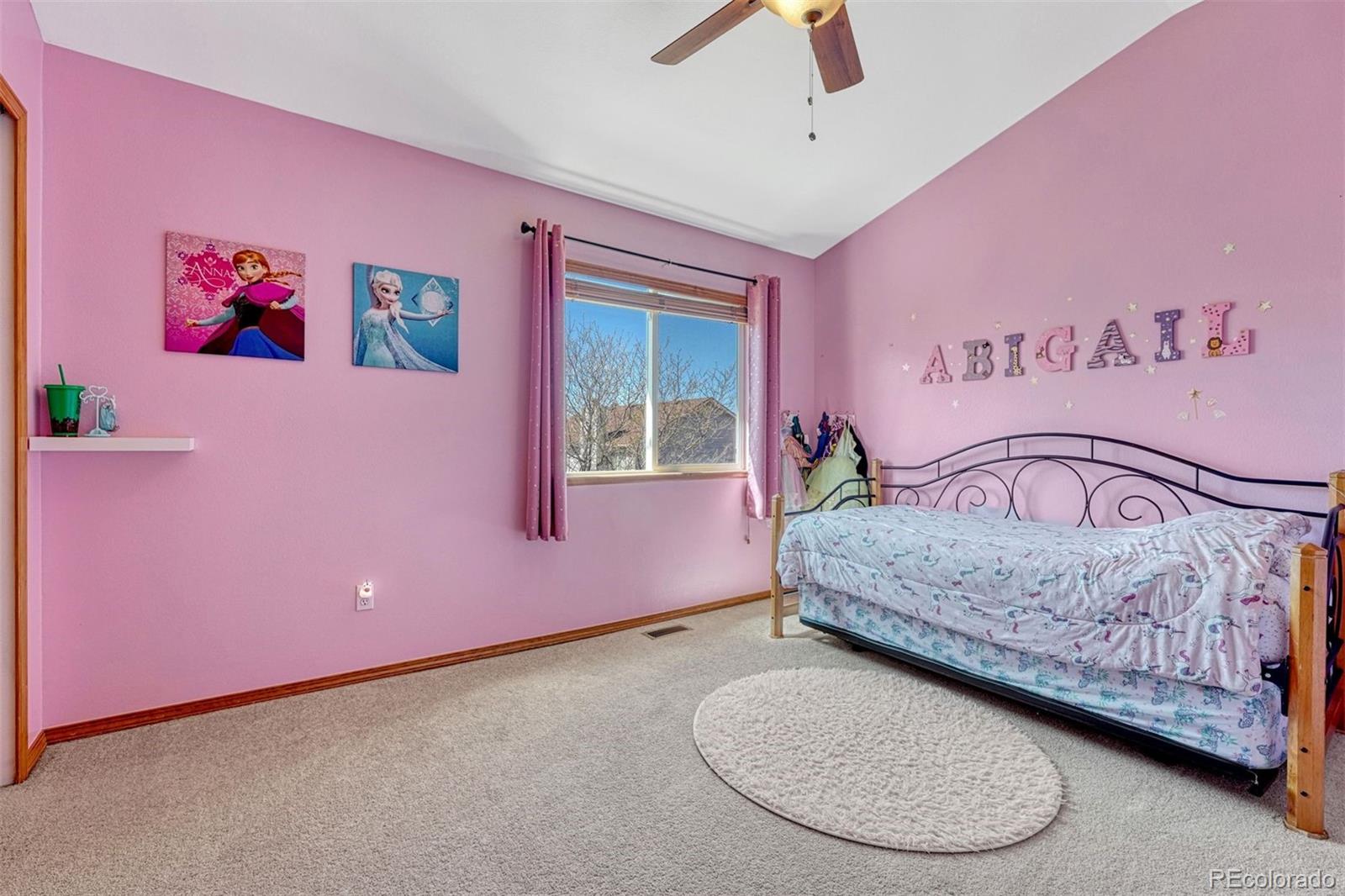 MLS Image #26 for 9358  prairie clover drive,colorado springs, Colorado