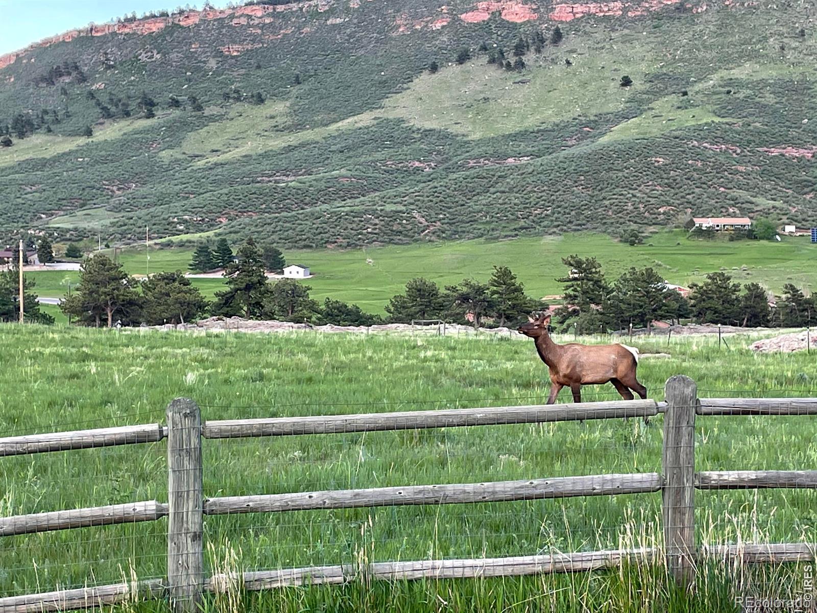 MLS Image #45 for 294  wedge rock drive,lyons, Colorado