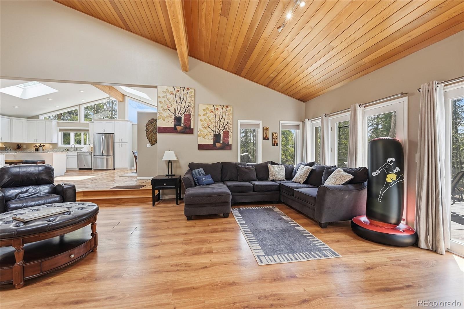MLS Image #12 for 111  foxtail circle,black hawk, Colorado
