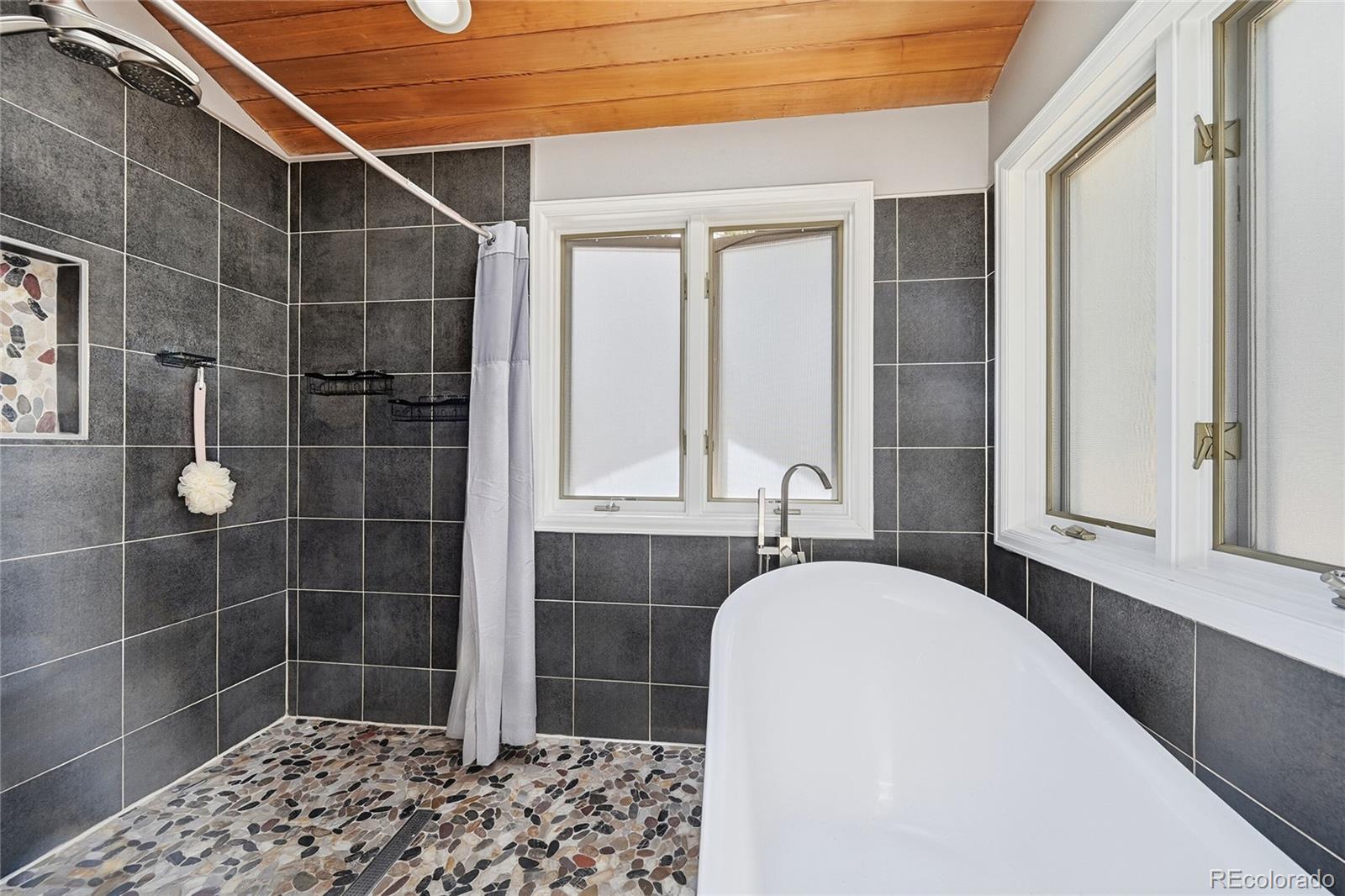 MLS Image #20 for 111  foxtail circle,black hawk, Colorado