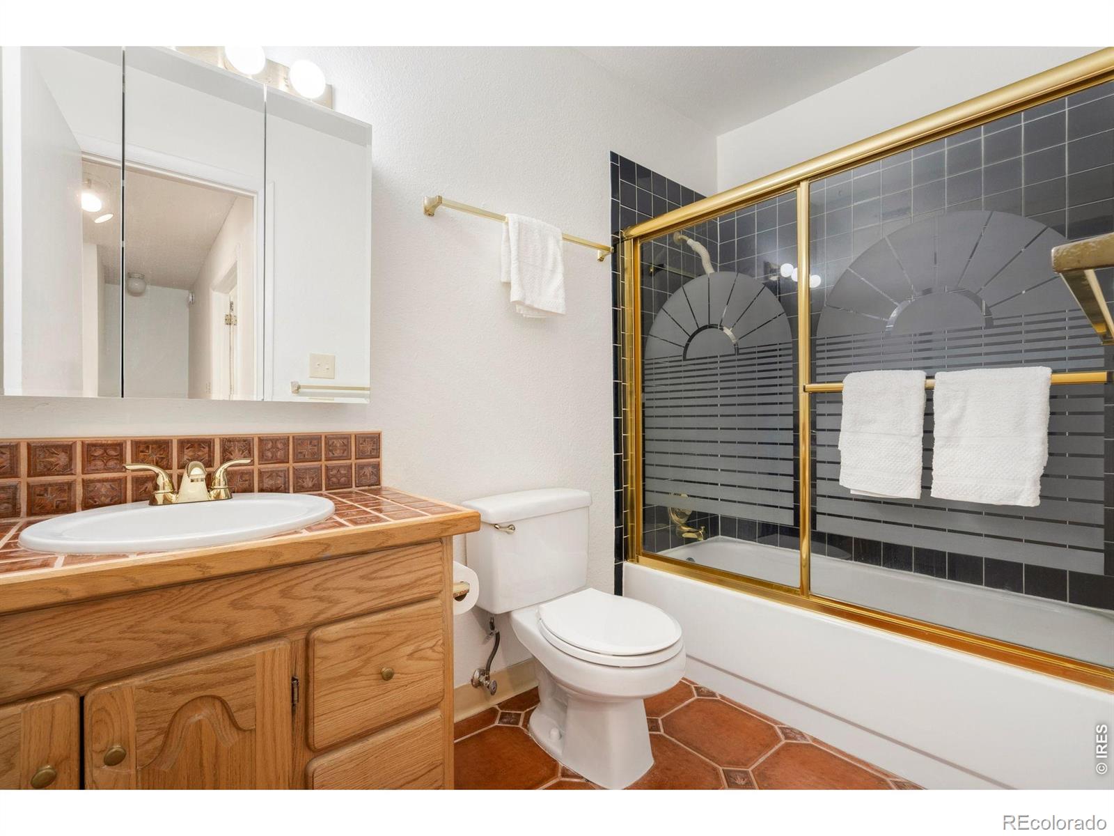MLS Image #9 for 1725  springmeadows court,fort collins, Colorado