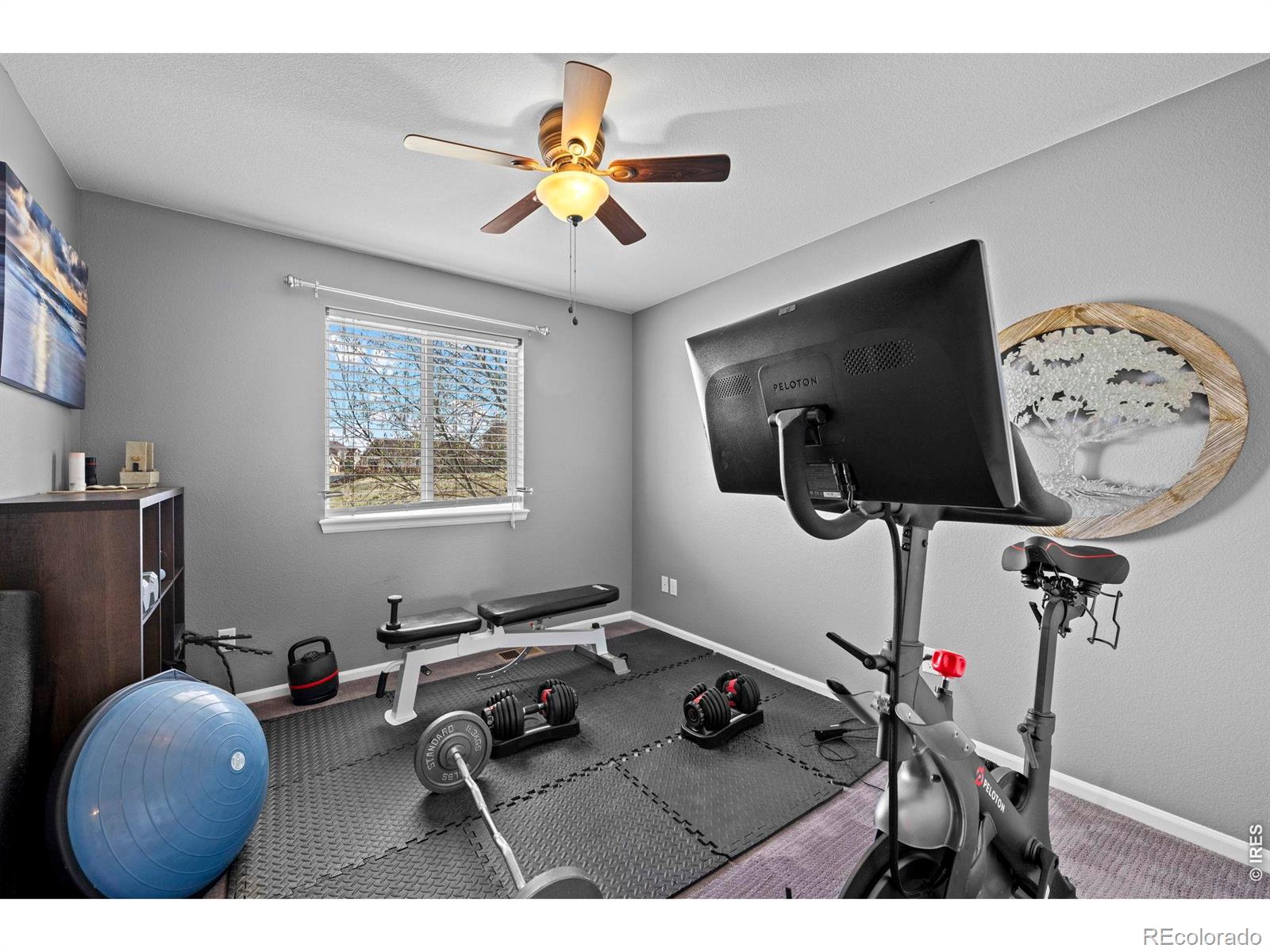 MLS Image #13 for 8255  el jebel loop,castle rock, Colorado