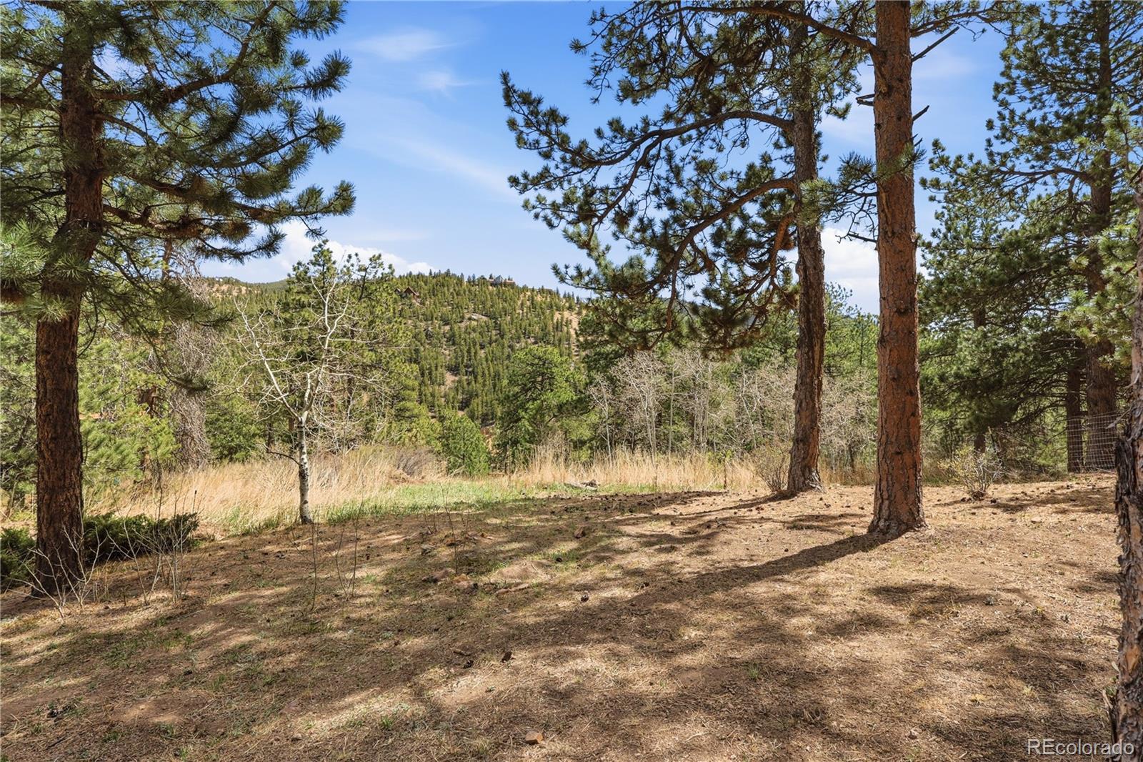 MLS Image #7 for 11488  ranch elsie road,golden, Colorado