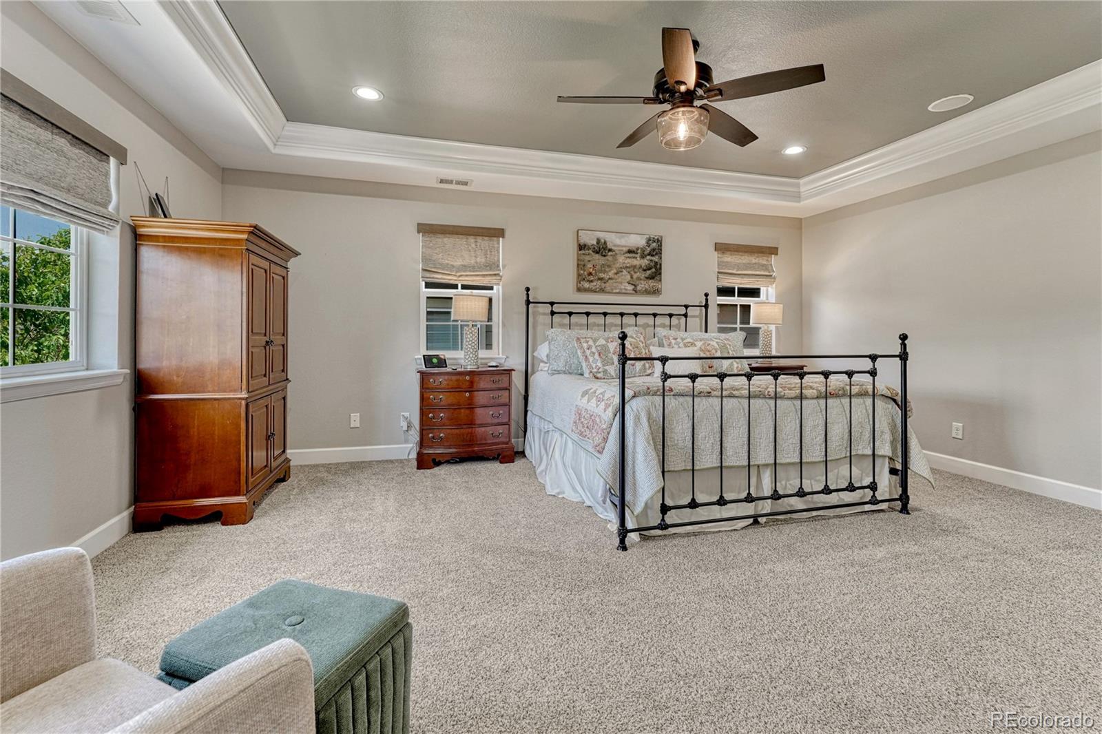MLS Image #19 for 2204  treetop drive,castle rock, Colorado