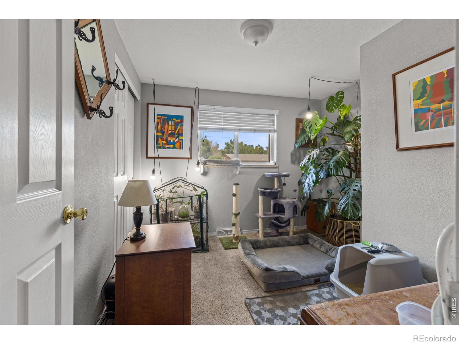 MLS Image #14 for 4653  dover street,wheat ridge, Colorado