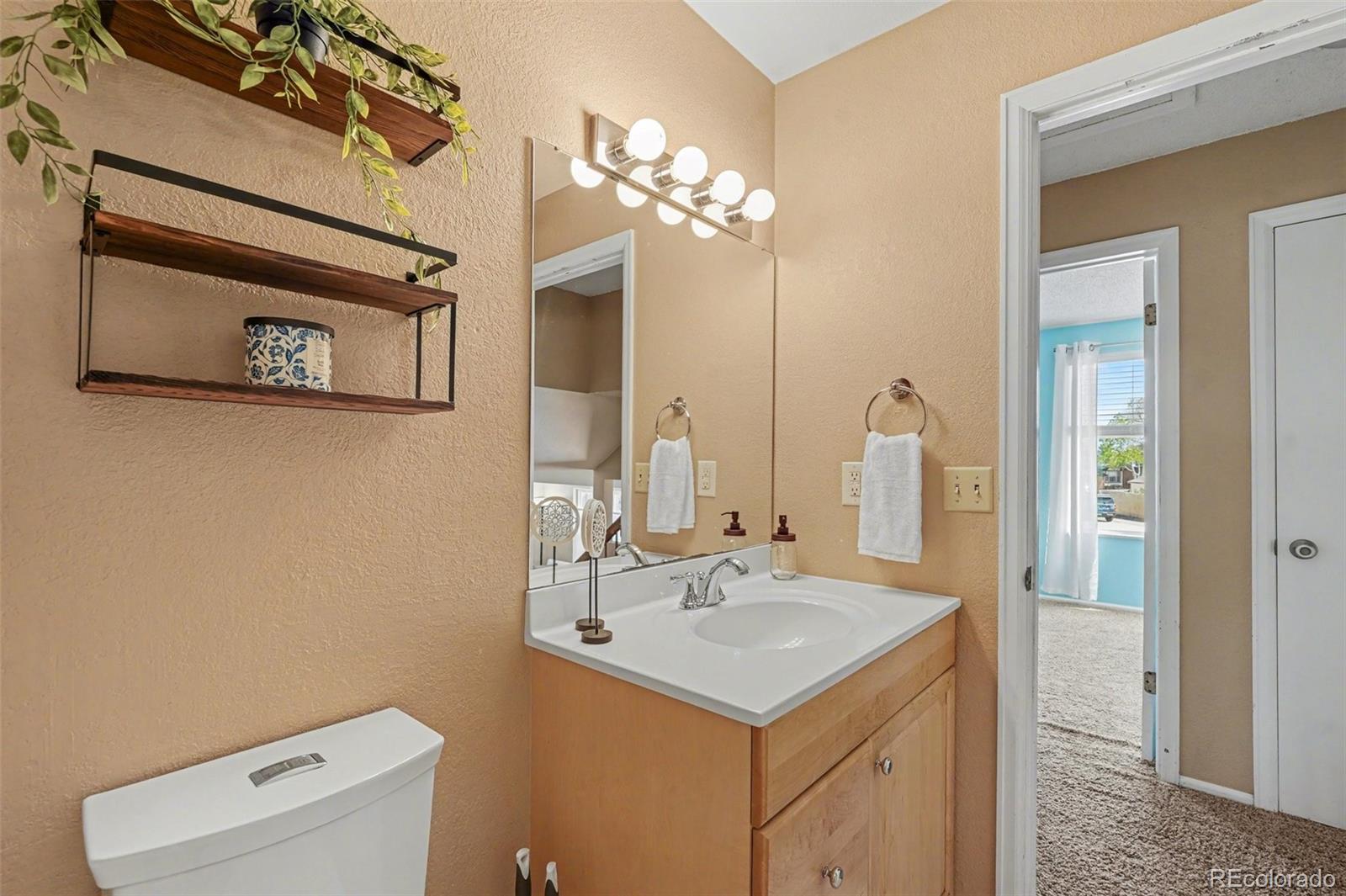 MLS Image #10 for 17229 e progress avenue,centennial, Colorado