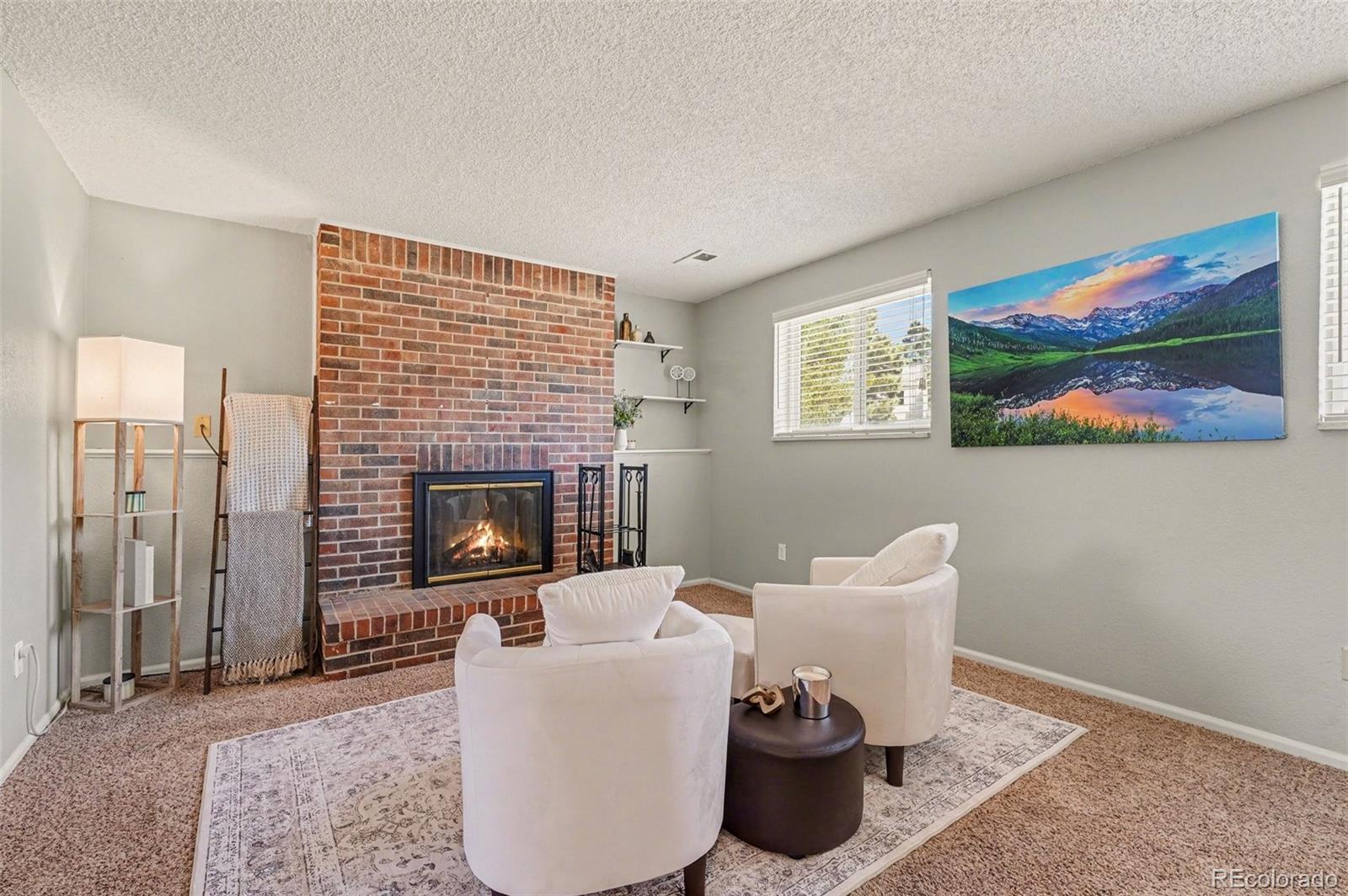 MLS Image #12 for 17229 e progress avenue,centennial, Colorado