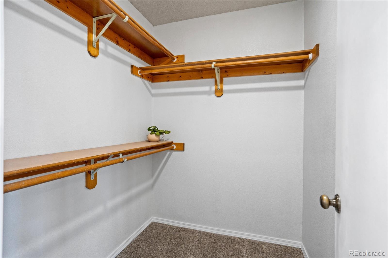 MLS Image #31 for 4955  galileo drive,colorado springs, Colorado