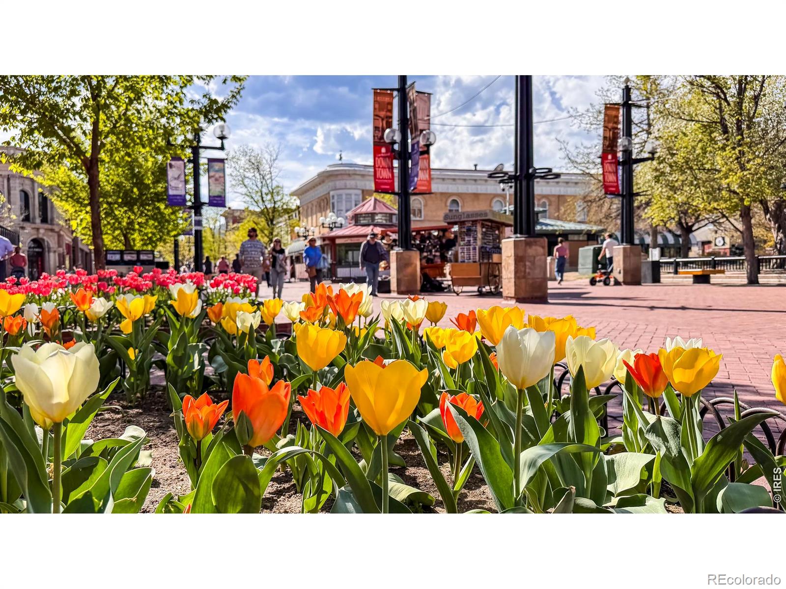MLS Image #44 for 2125  11th street,boulder, Colorado