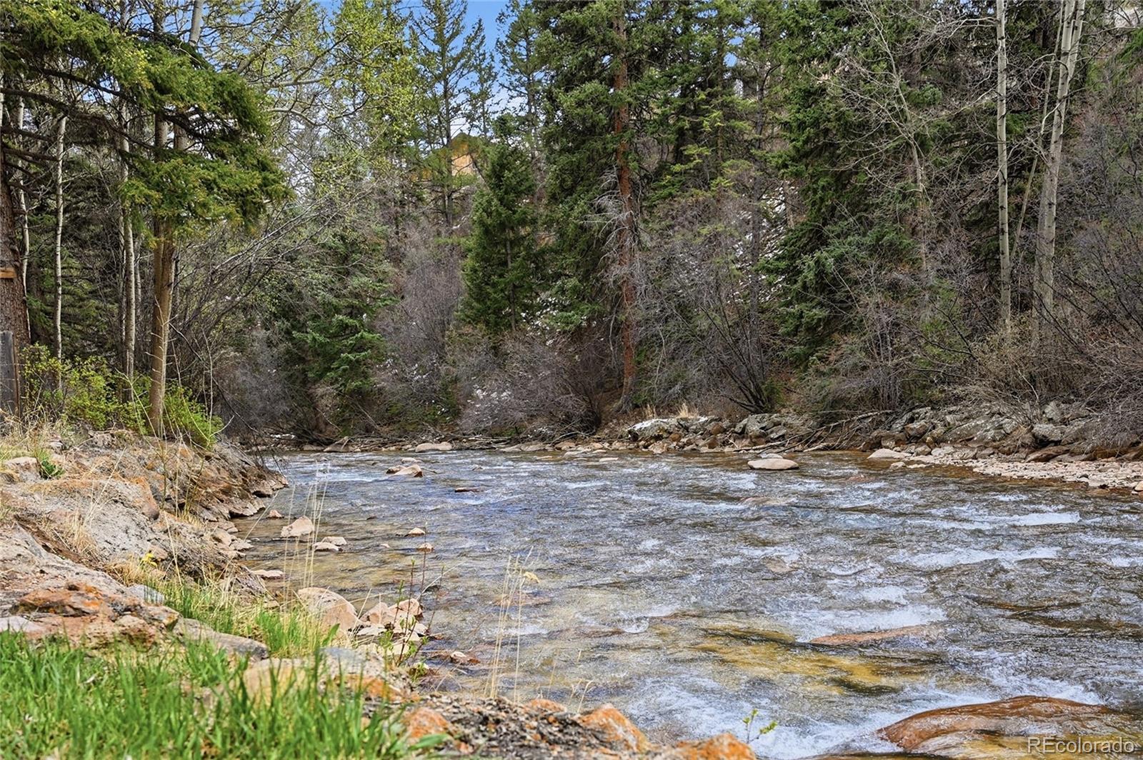 MLS Image #7 for 50464  highway 285 ,grant, Colorado