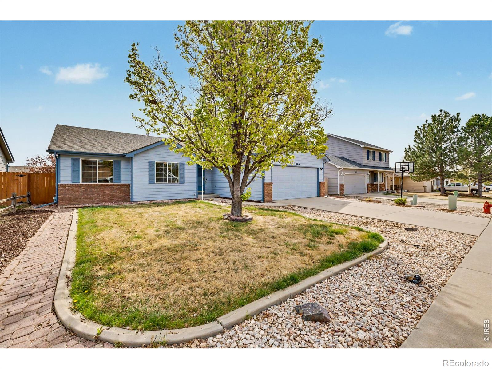 MLS Image #4 for 509  pebble beach avenue,johnstown, Colorado