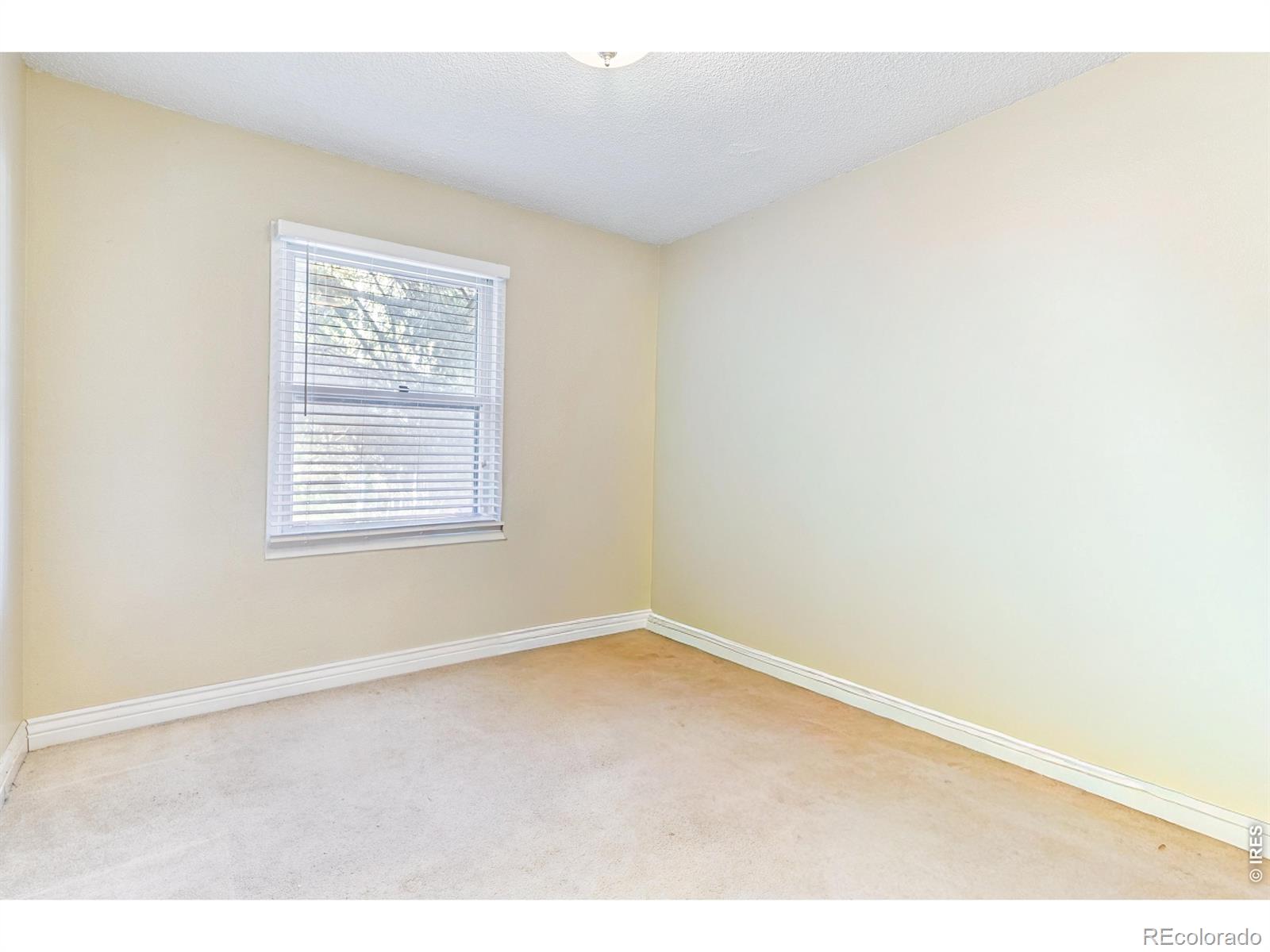 MLS Image #7 for 700  riverbend drive,fort collins, Colorado
