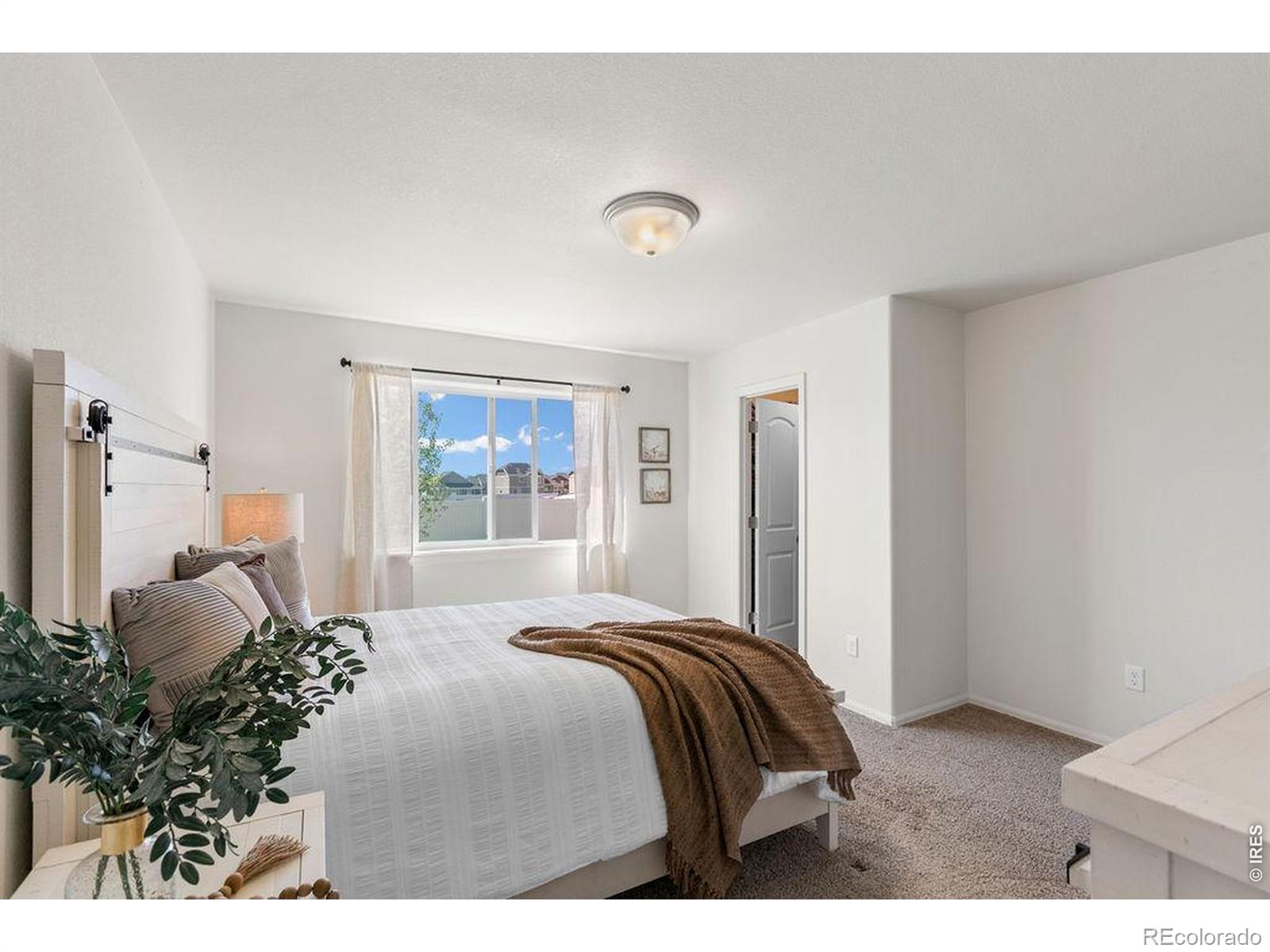 MLS Image #12 for 1113  tur street,severance, Colorado