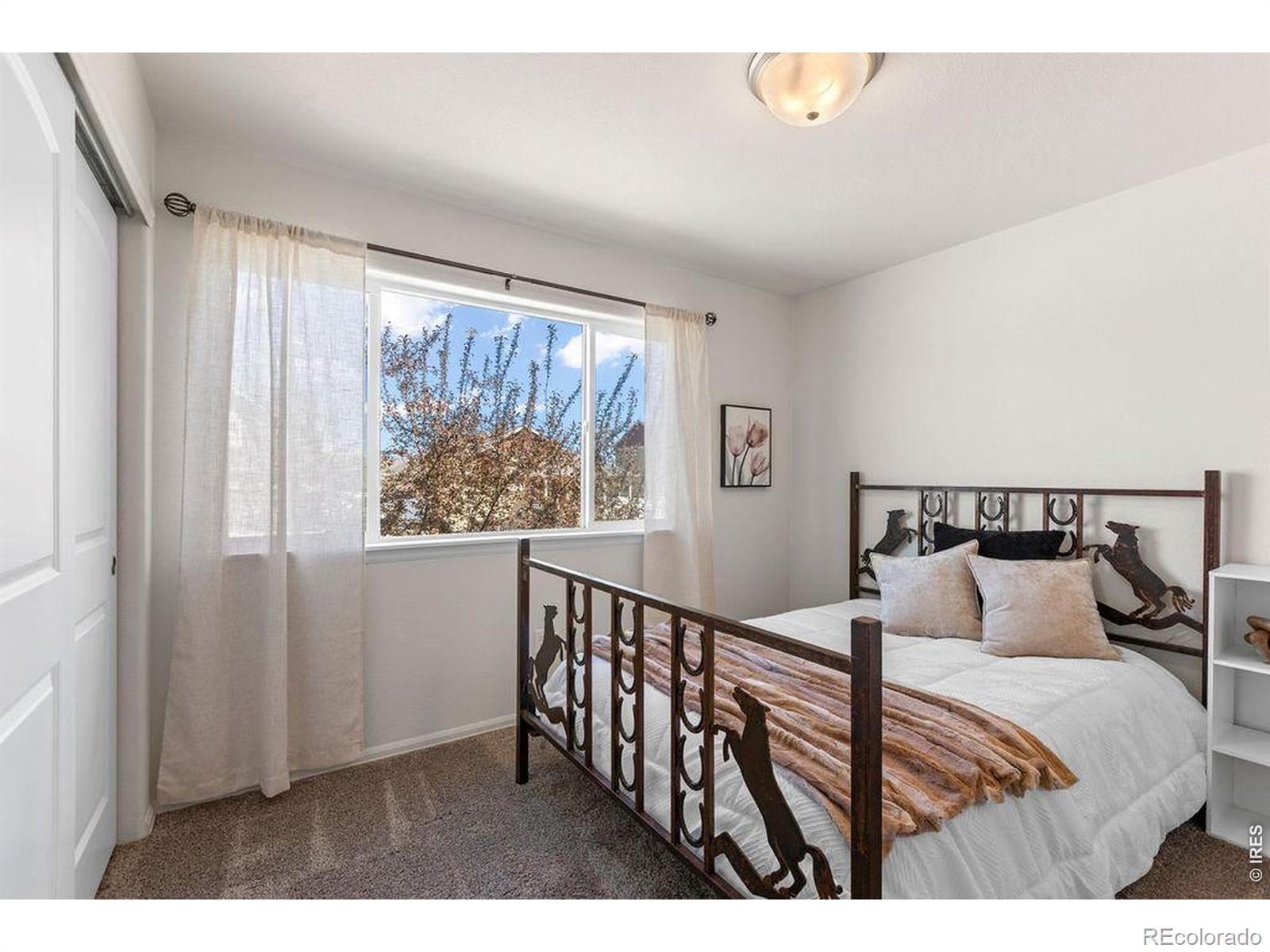 MLS Image #15 for 1113  tur street,severance, Colorado