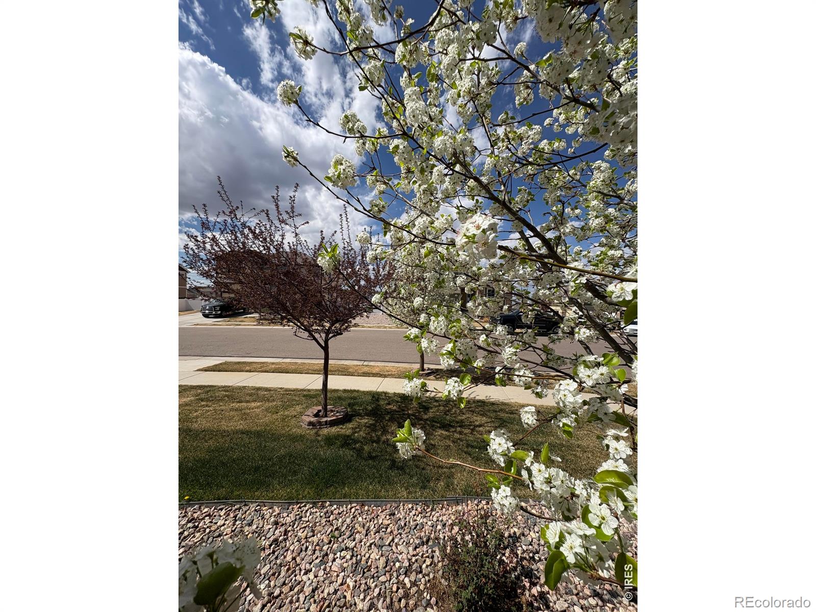 MLS Image #45 for 1210  muskox street,severance, Colorado