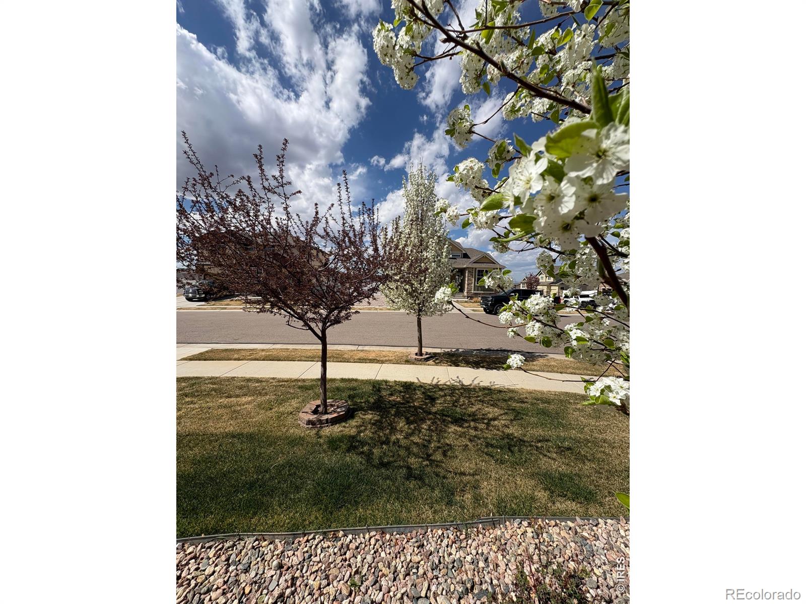 MLS Image #8 for 1210  muskox street,severance, Colorado