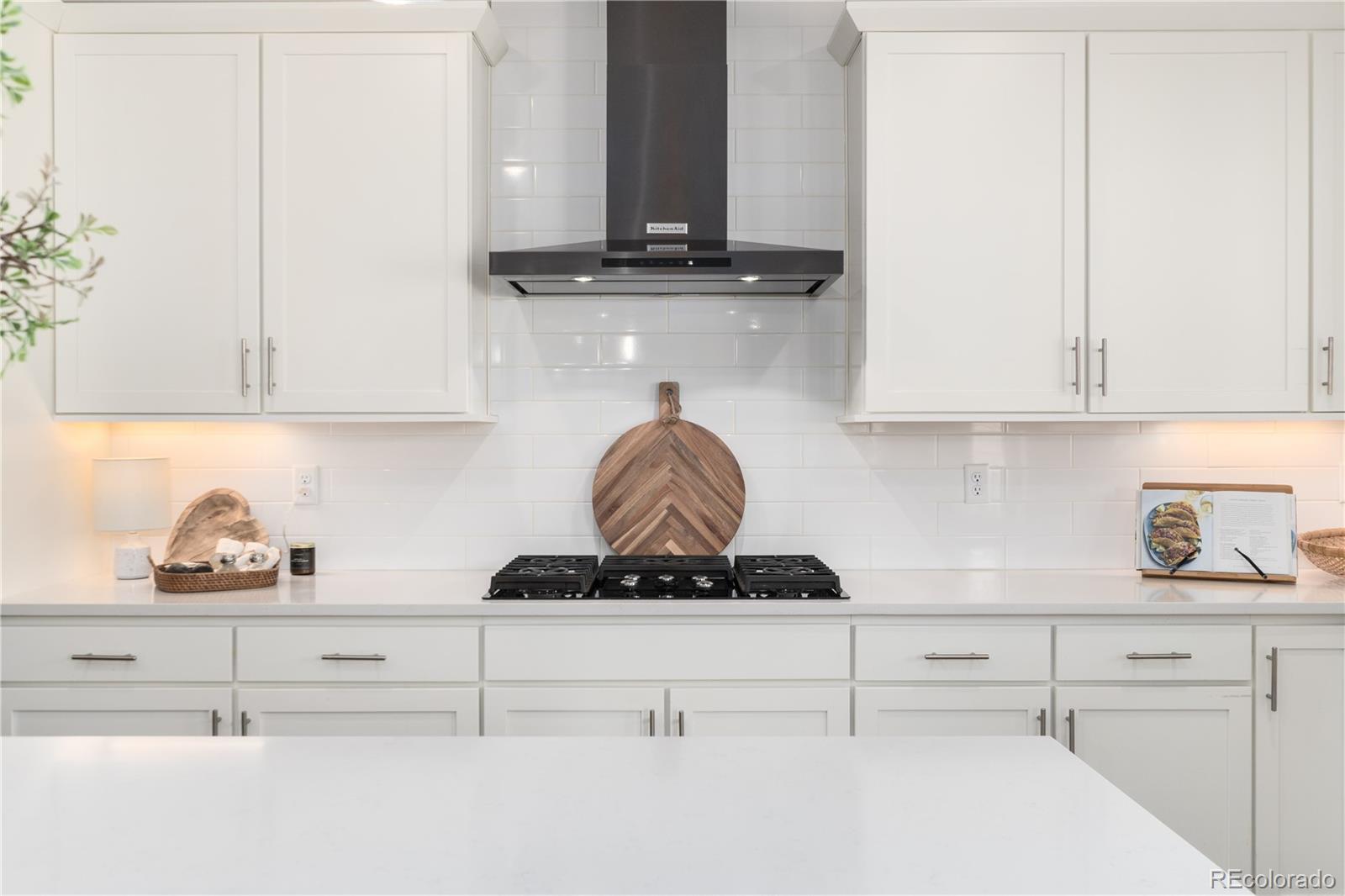 MLS Image #11 for 2135 s poppy street,lakewood, Colorado