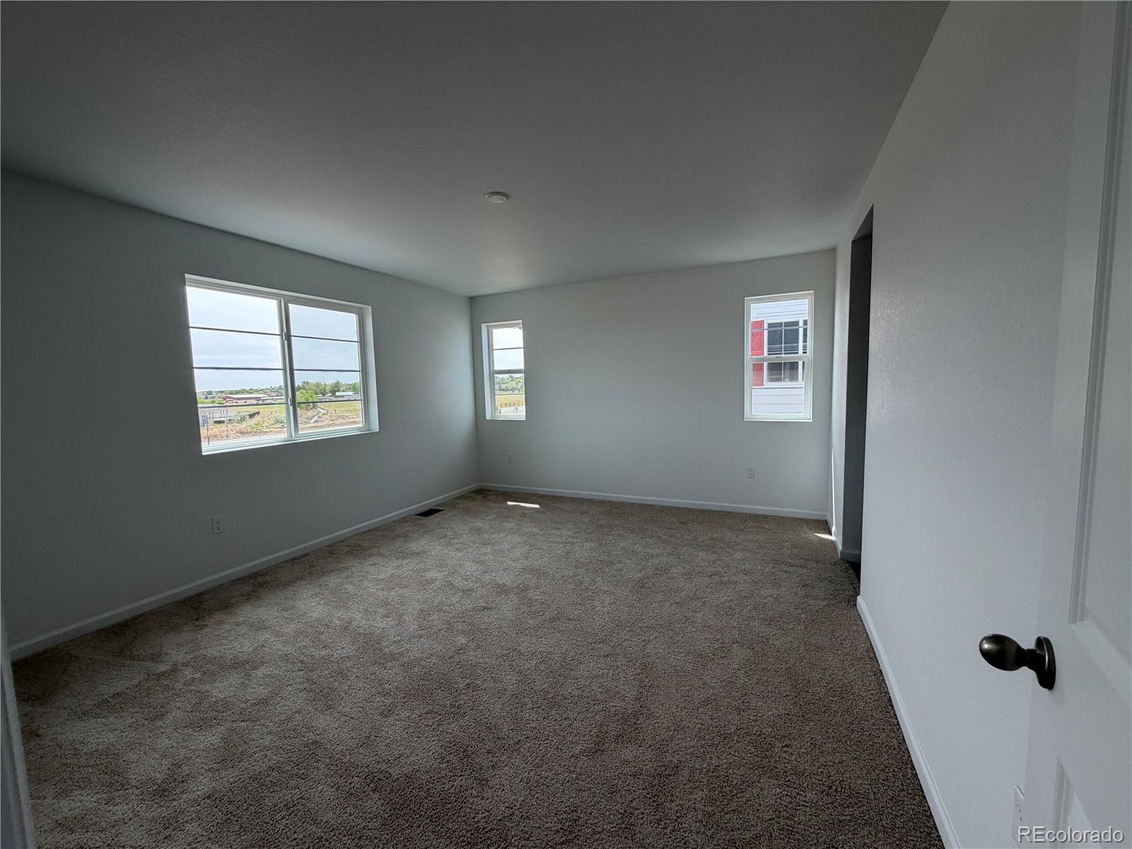 MLS Image #5 for 6446  ankina drive,windsor, Colorado