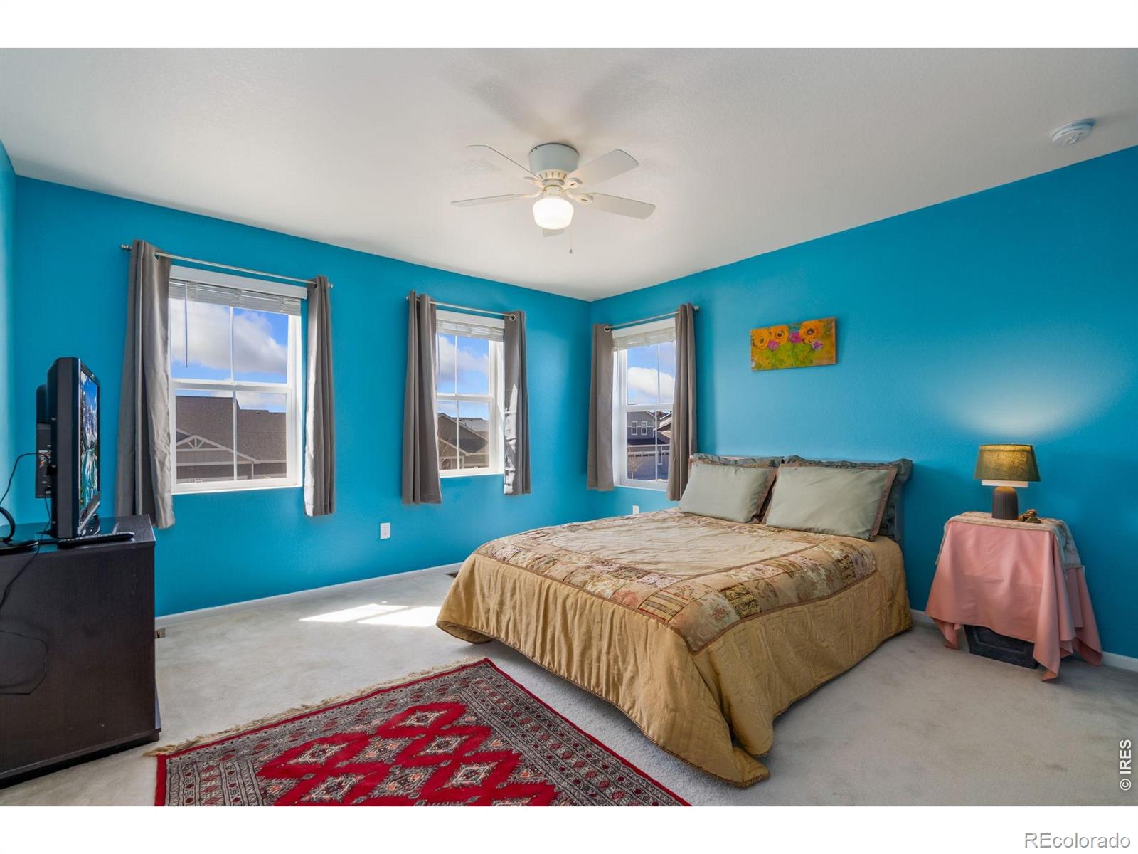 MLS Image #11 for 1142  ibex drive,severance, Colorado