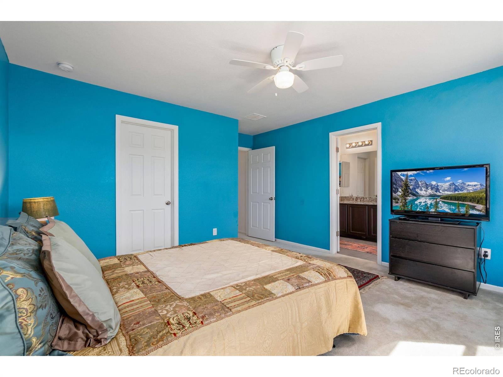 MLS Image #12 for 1142  ibex drive,severance, Colorado