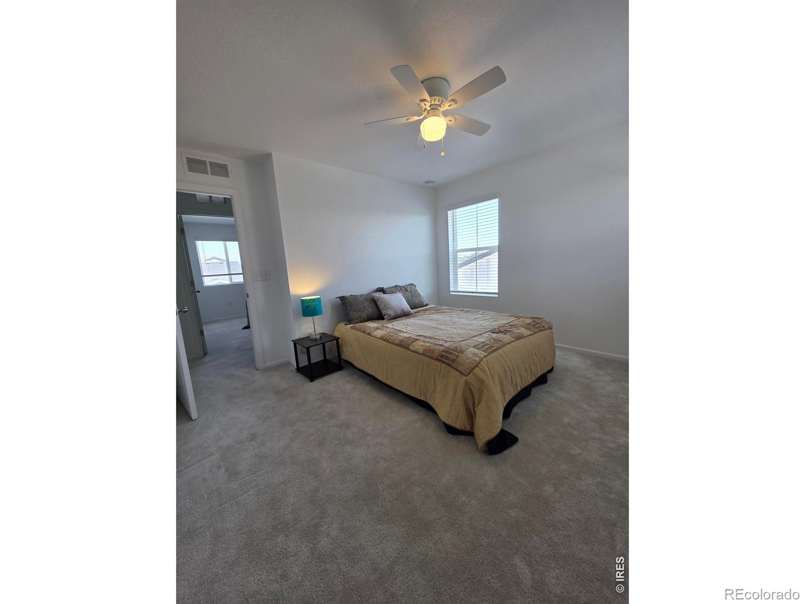 MLS Image #23 for 1142  ibex drive,severance, Colorado