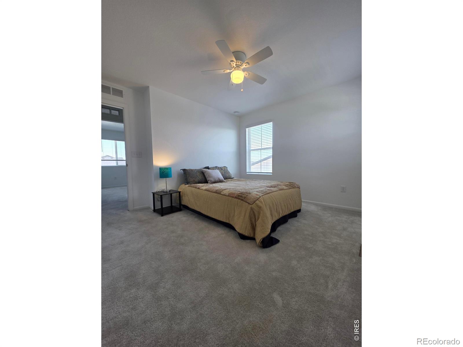 MLS Image #28 for 1142  ibex drive,severance, Colorado