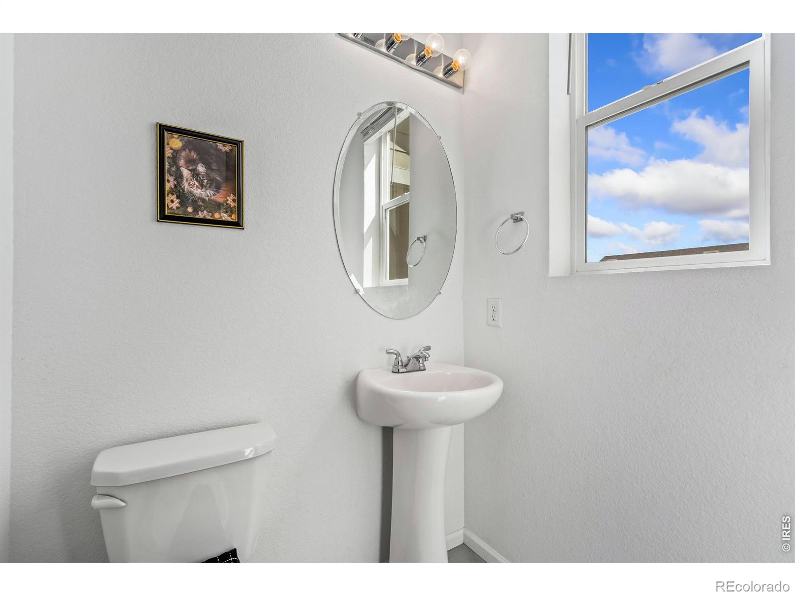 MLS Image #3 for 1142  ibex drive,severance, Colorado