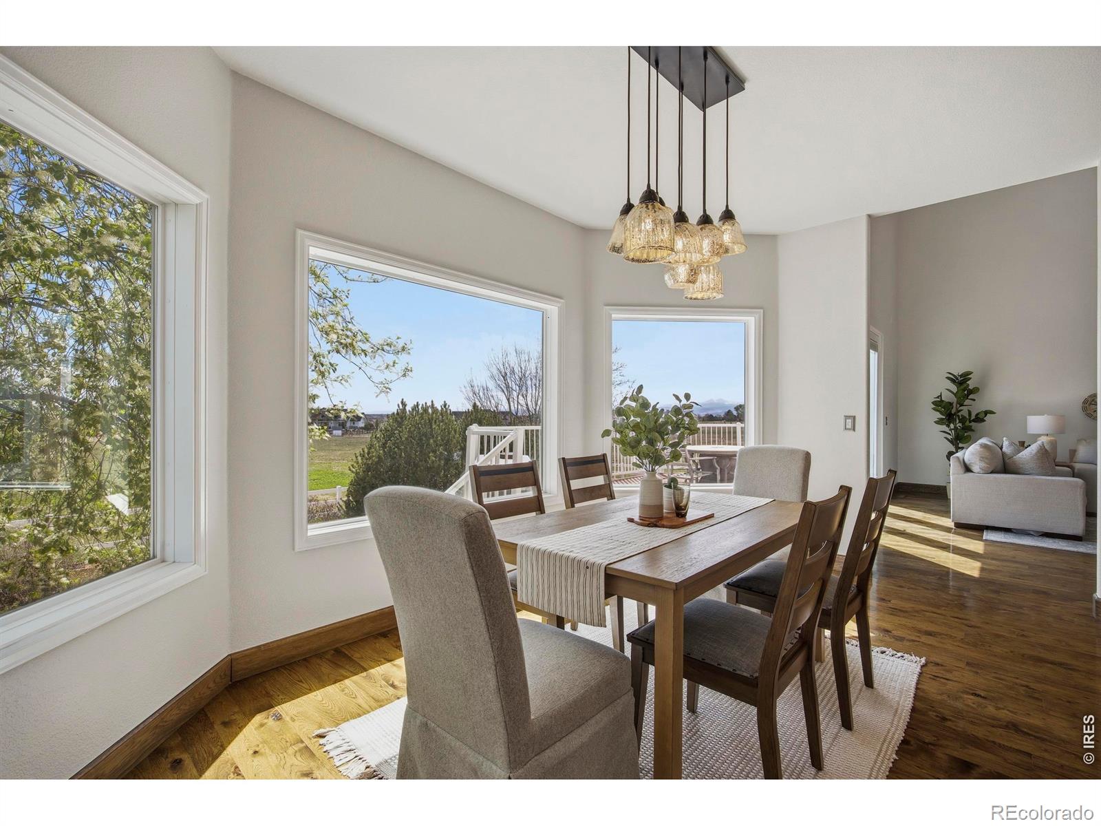MLS Image #17 for 8952  gander valley lane,windsor, Colorado