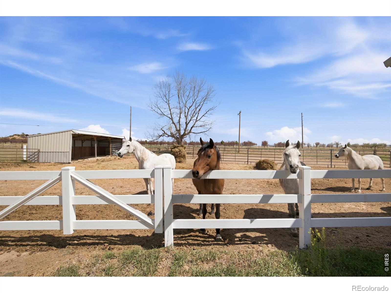 MLS Image #40 for 8952  gander valley lane,windsor, Colorado