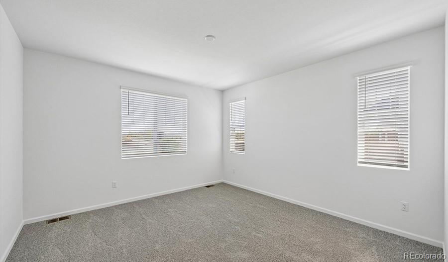 MLS Image #13 for 6407  ankina drive,windsor, Colorado