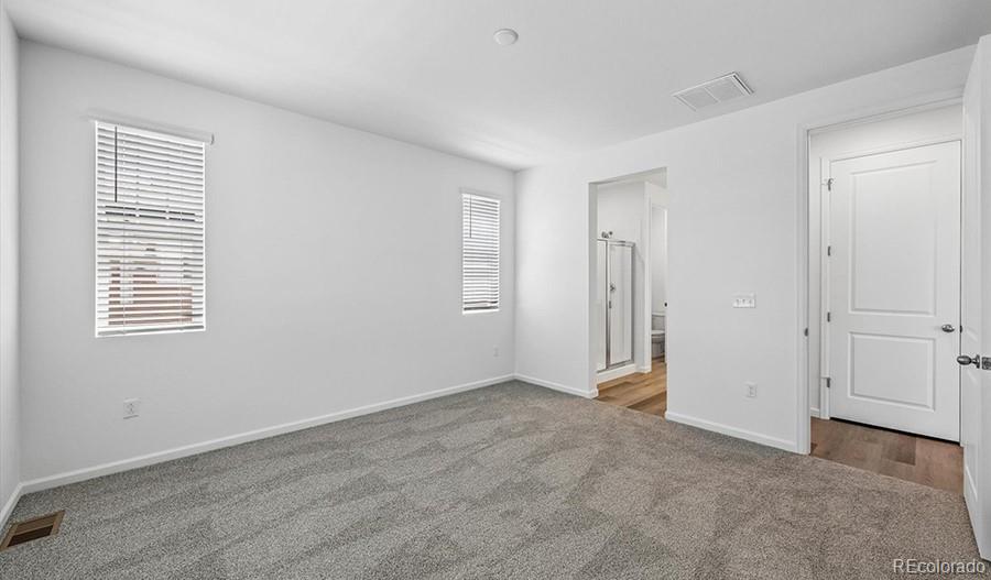 MLS Image #14 for 6407  ankina drive,windsor, Colorado