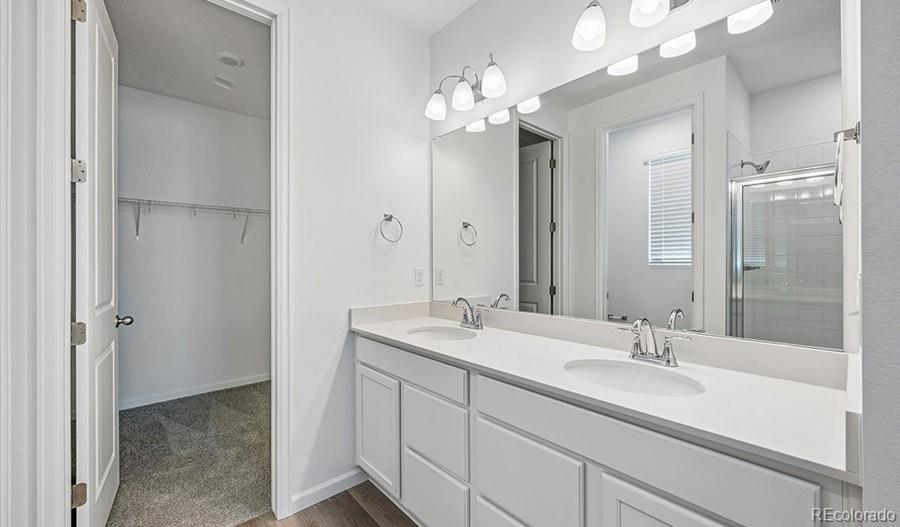 MLS Image #15 for 6407  ankina drive,windsor, Colorado